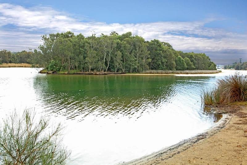 18 Wellington Street, NARRABEEN NSW 2101, Narrabeen - Thumbnail 5