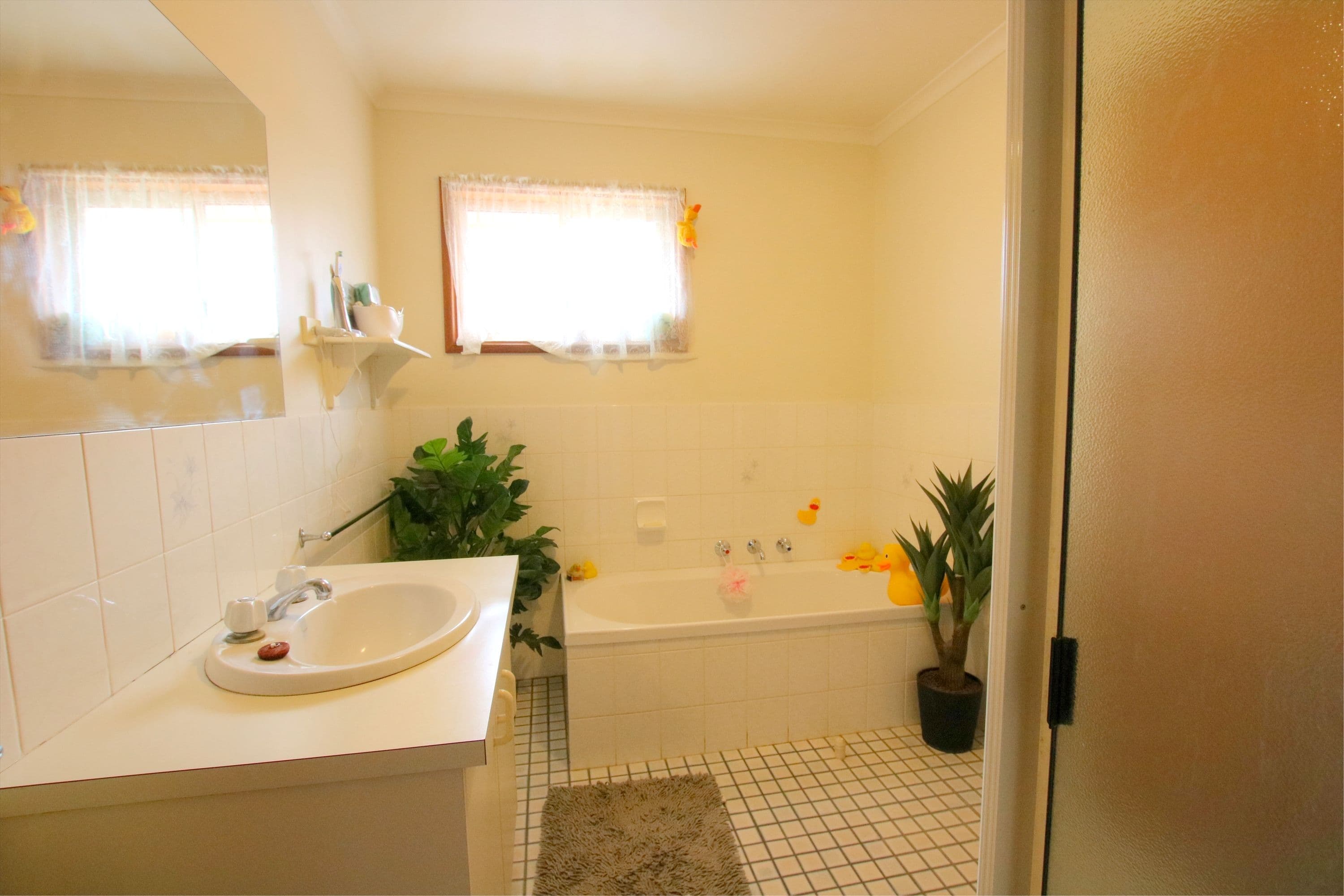 15 Phillips Road, Berri SA 5343, Berri - Thumbnail 6
