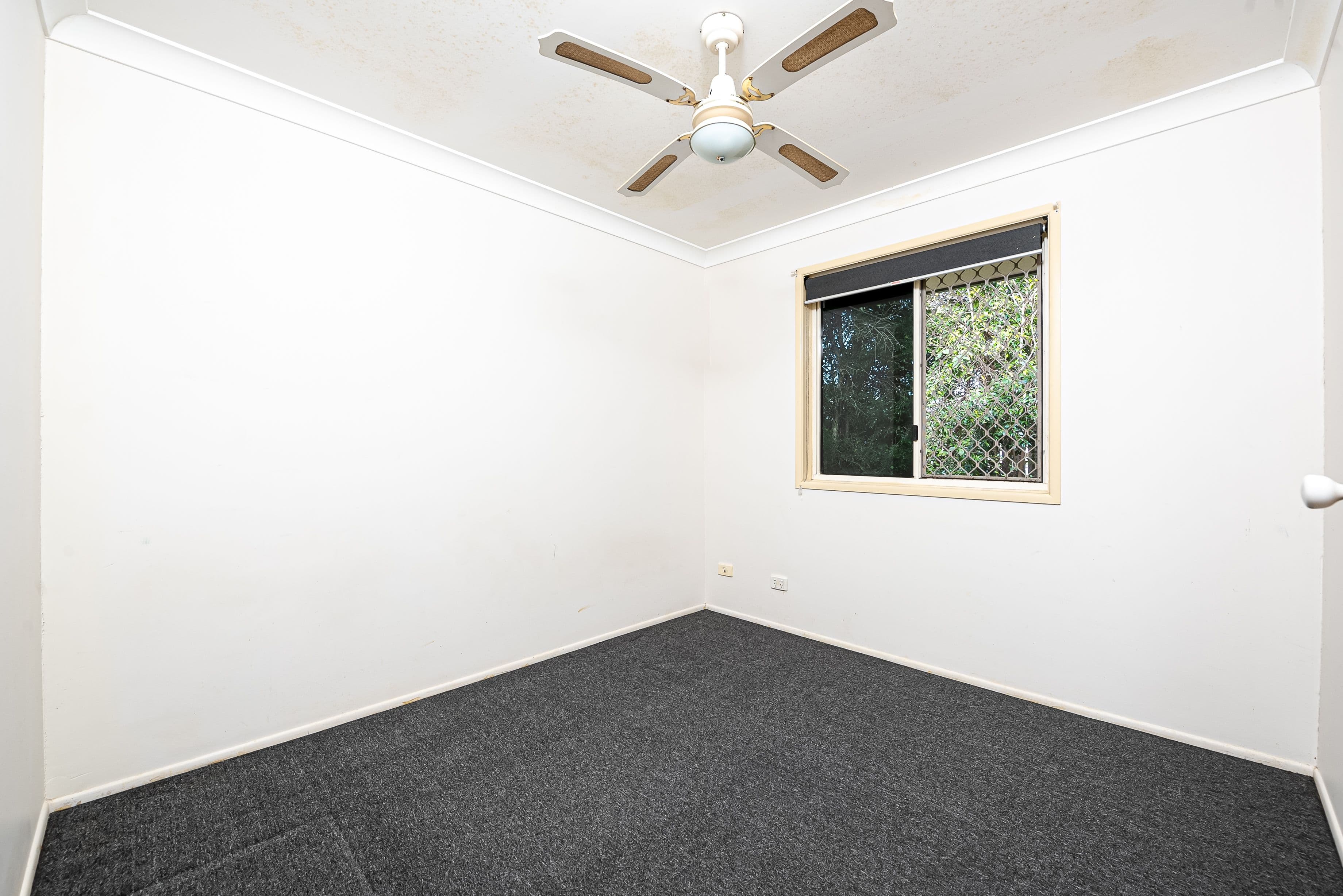 31 Dorset Drive, Caboolture South QLD 4510, Caboolture South - Thumbnail 8