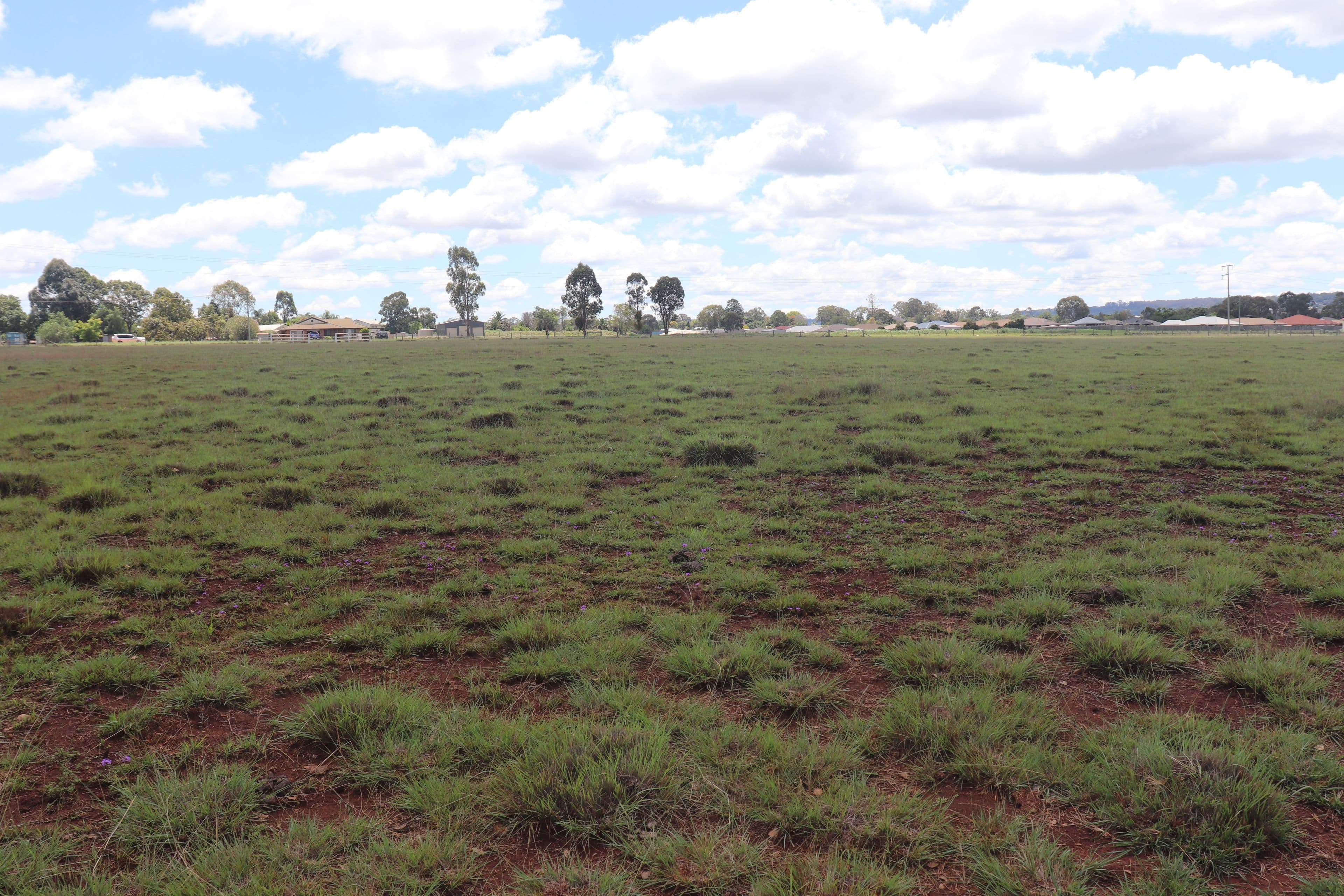 35 Logan Street, Kingaroy QLD 4610, Kingaroy - Thumbnail 5