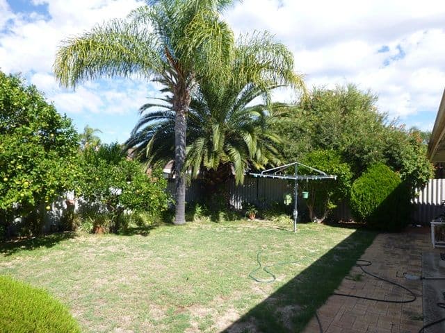 168 Benara Road, Noranda WA 6062, Noranda - Thumbnail 6