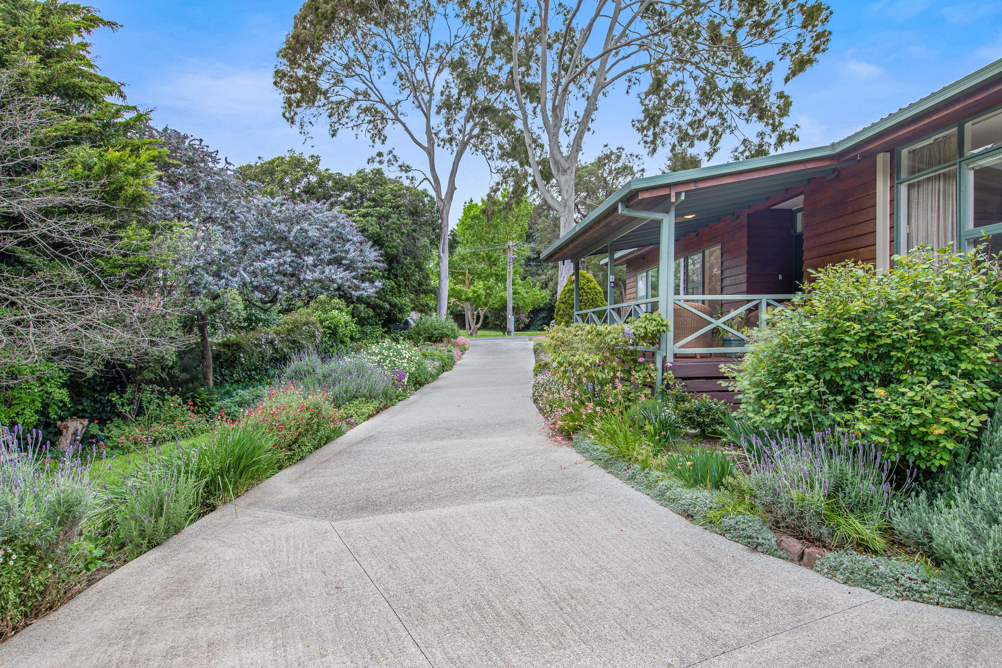 19 Meadow Crescent, Mount Waverley VIC 3149, Mount Waverley - Thumbnail 3
