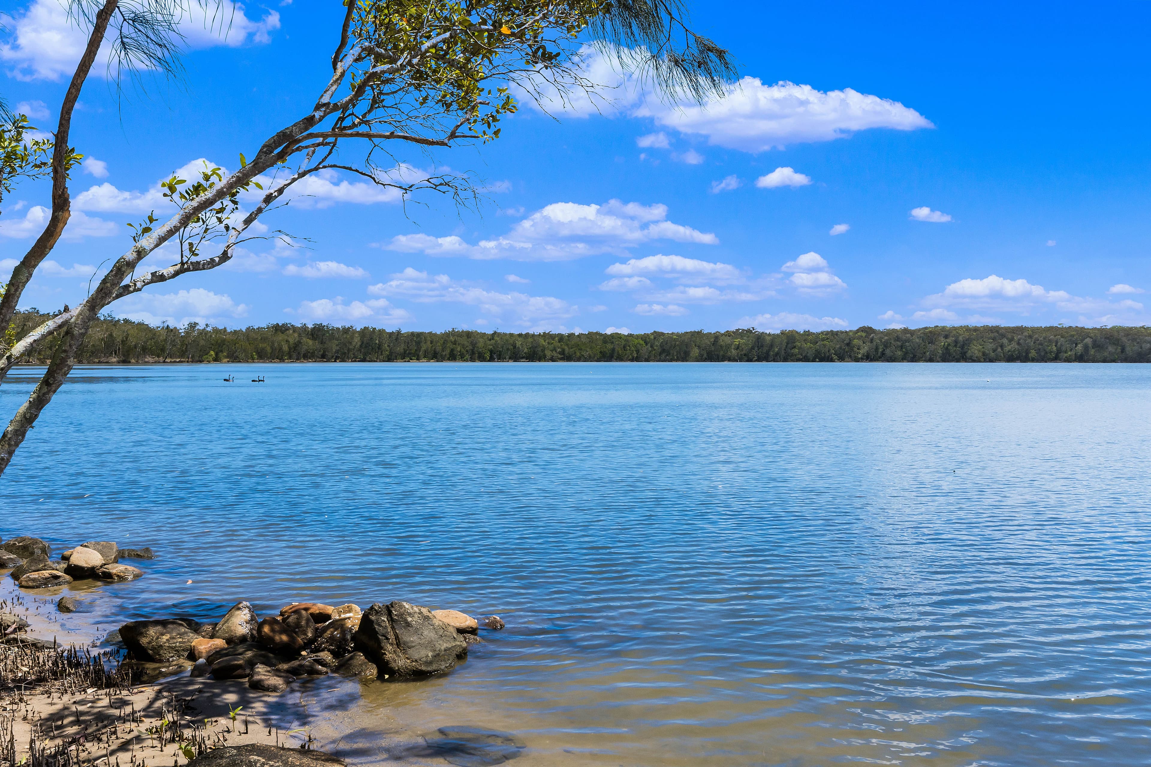 173 Lakes Boulevard, Wooloweyah NSW 2464, Wooloweyah - Thumbnail 2