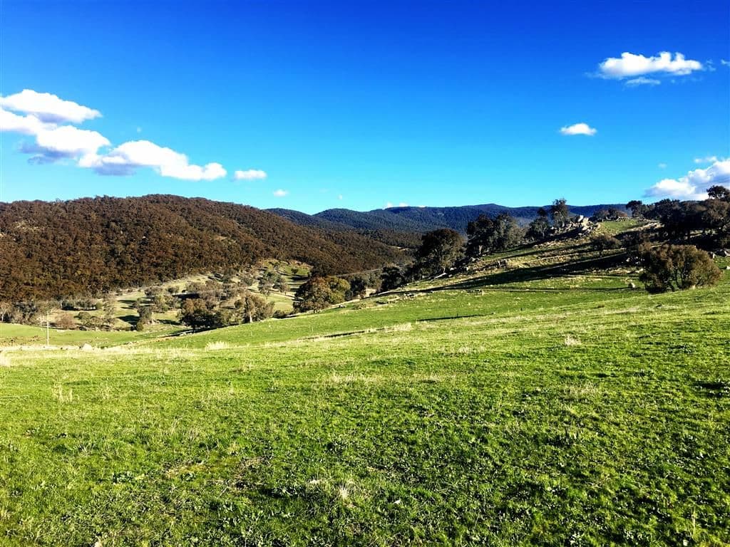 Lot 2 Goobarragandra Road, Tumut NSW 2720, Tumut - Thumbnail 7
