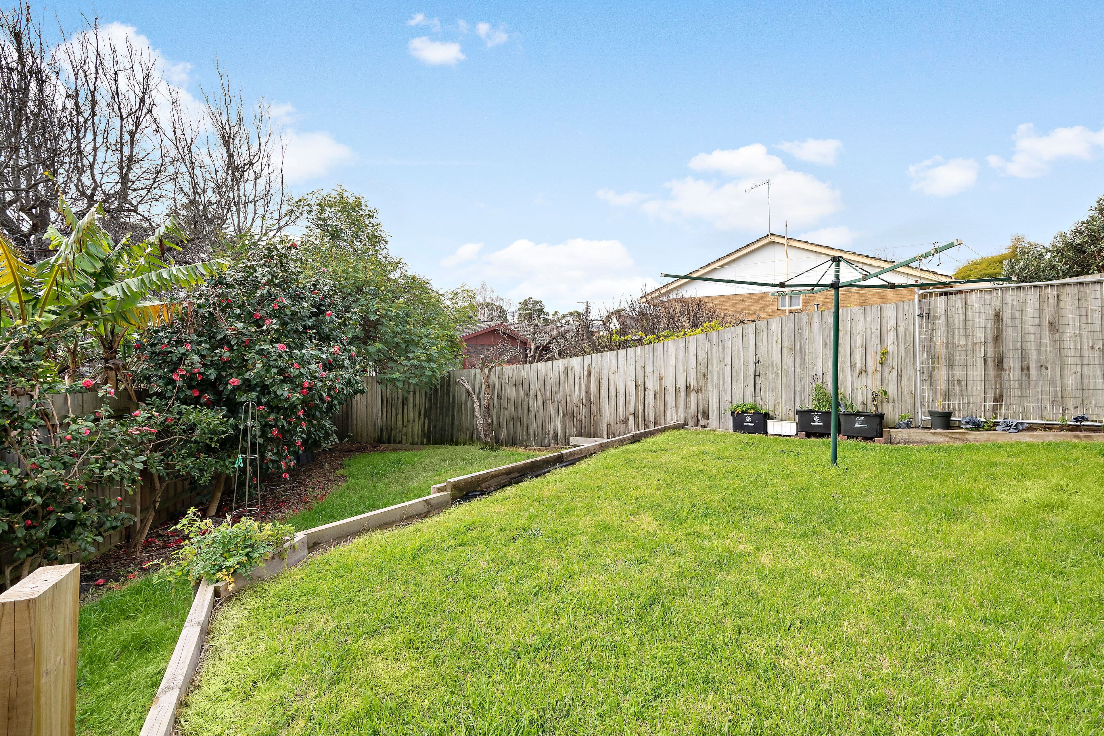 15 Gray Street, Murray Bridge SA 5253, Murray Bridge - Thumbnail 7