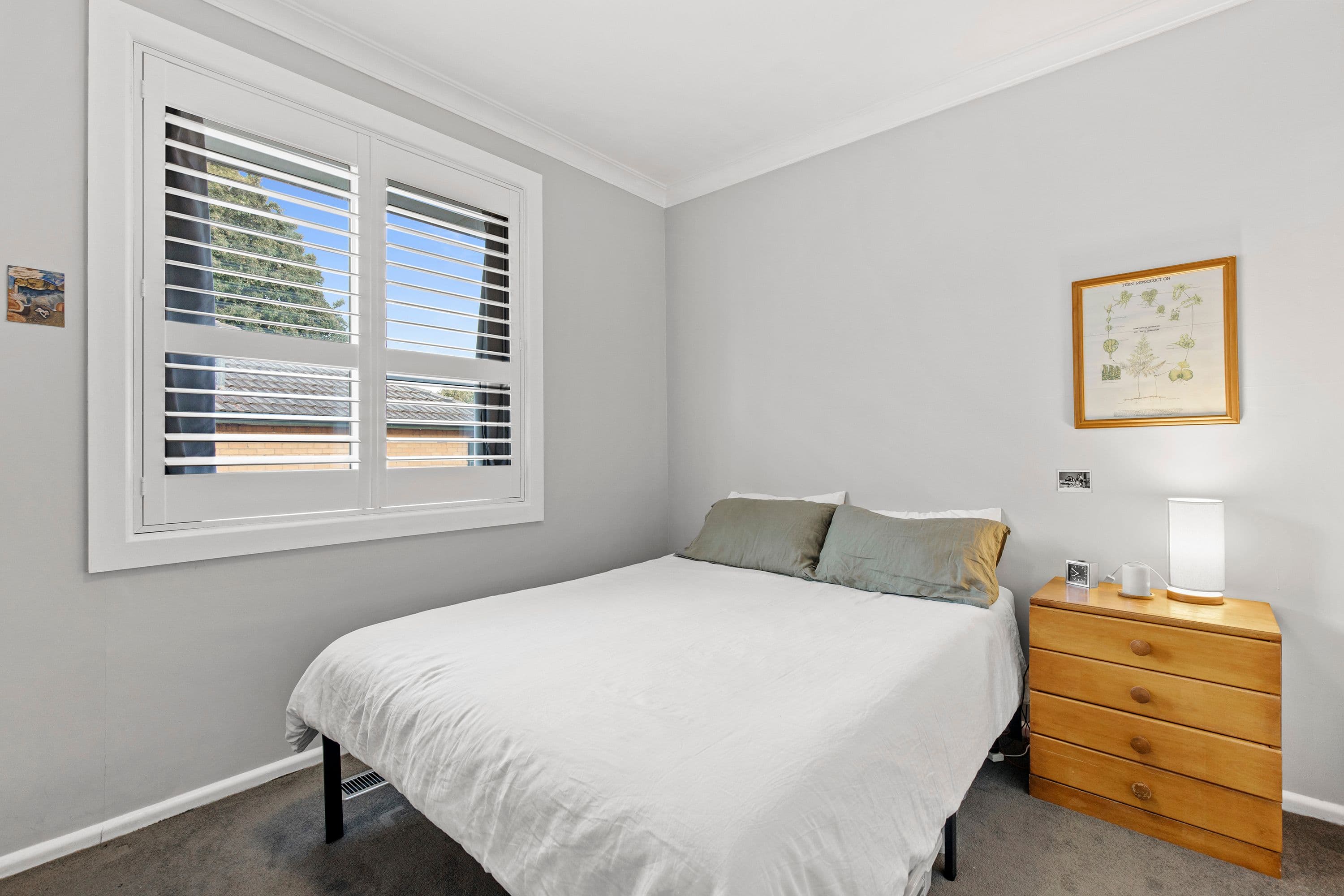36 Damon Road, Mount Waverley VIC 3149, Mount Waverley - Thumbnail 4