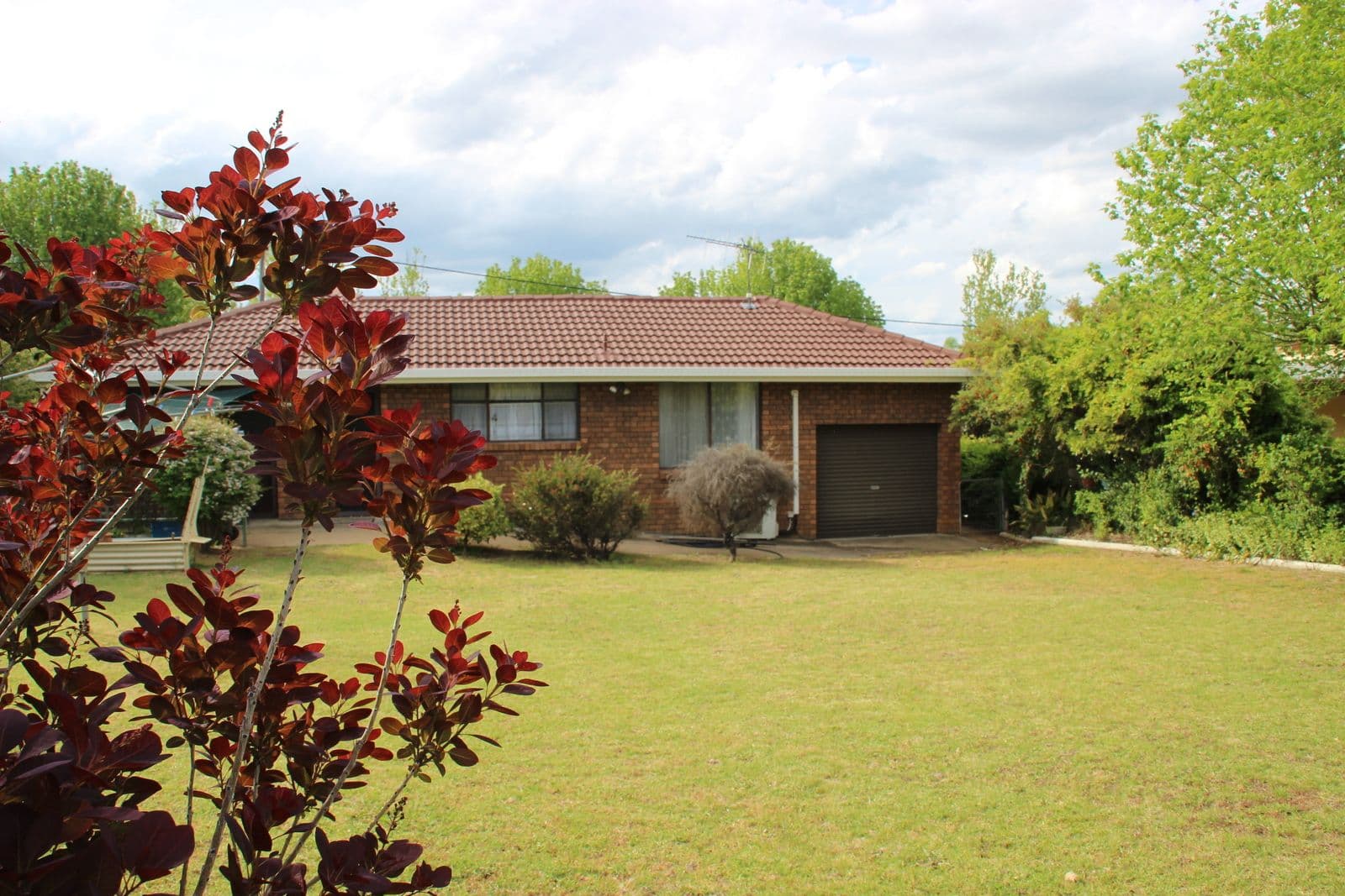 12 Dalgarno Street, Coonabarabran - Thumbnail 2