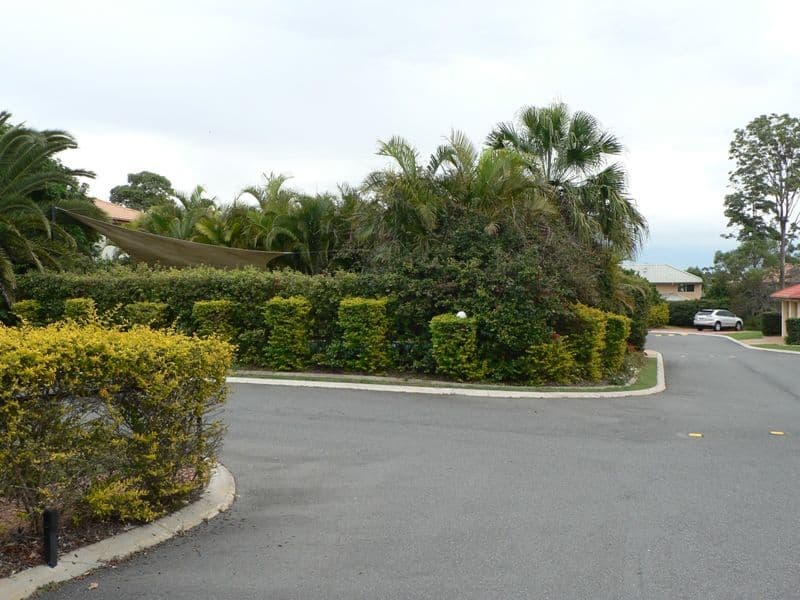 196 Hellawell Road, SUNNYBANK HILLS QLD 4109, Sunnybank Hills - Thumbnail 7