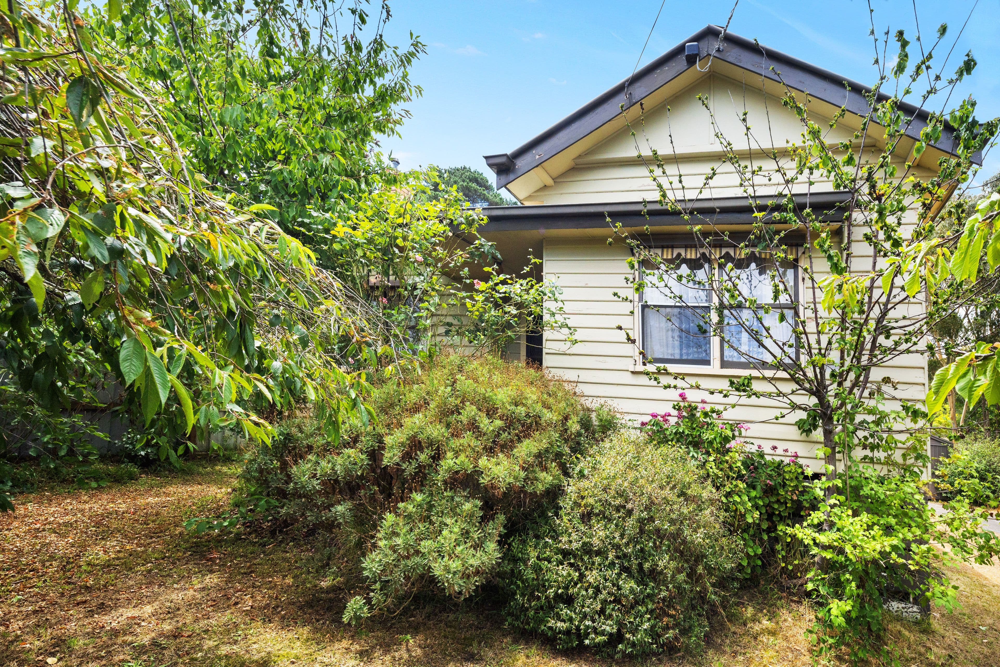 2 St Georges Lake Road, Creswick VIC 3363, Creswick - Thumbnail 4