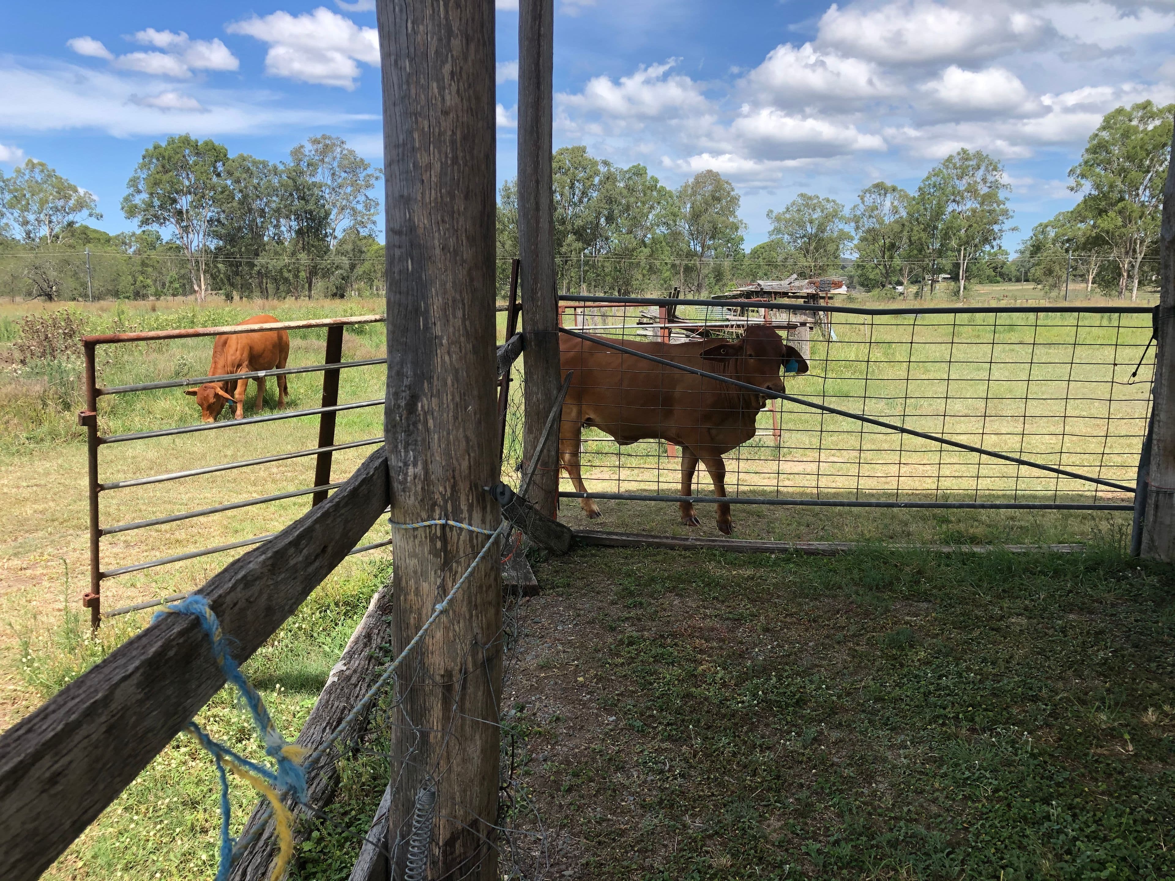 174 Blackmount Road, Tiaro QLD 4650, Tiaro - Thumbnail 5