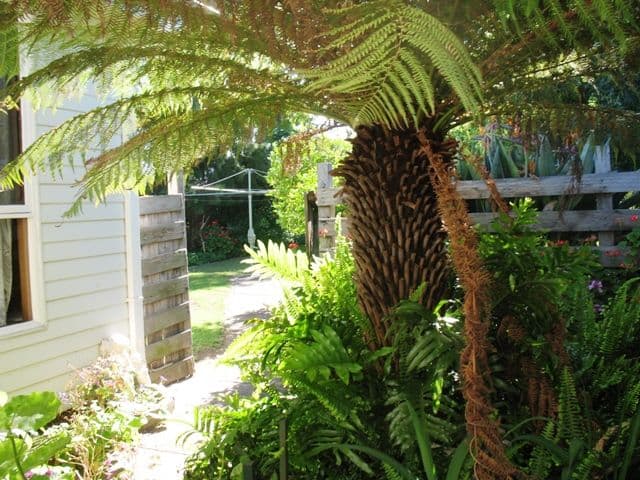 34 Garden Street, WARRNAMBOOL VIC 3280, Warrnambool - Thumbnail 5