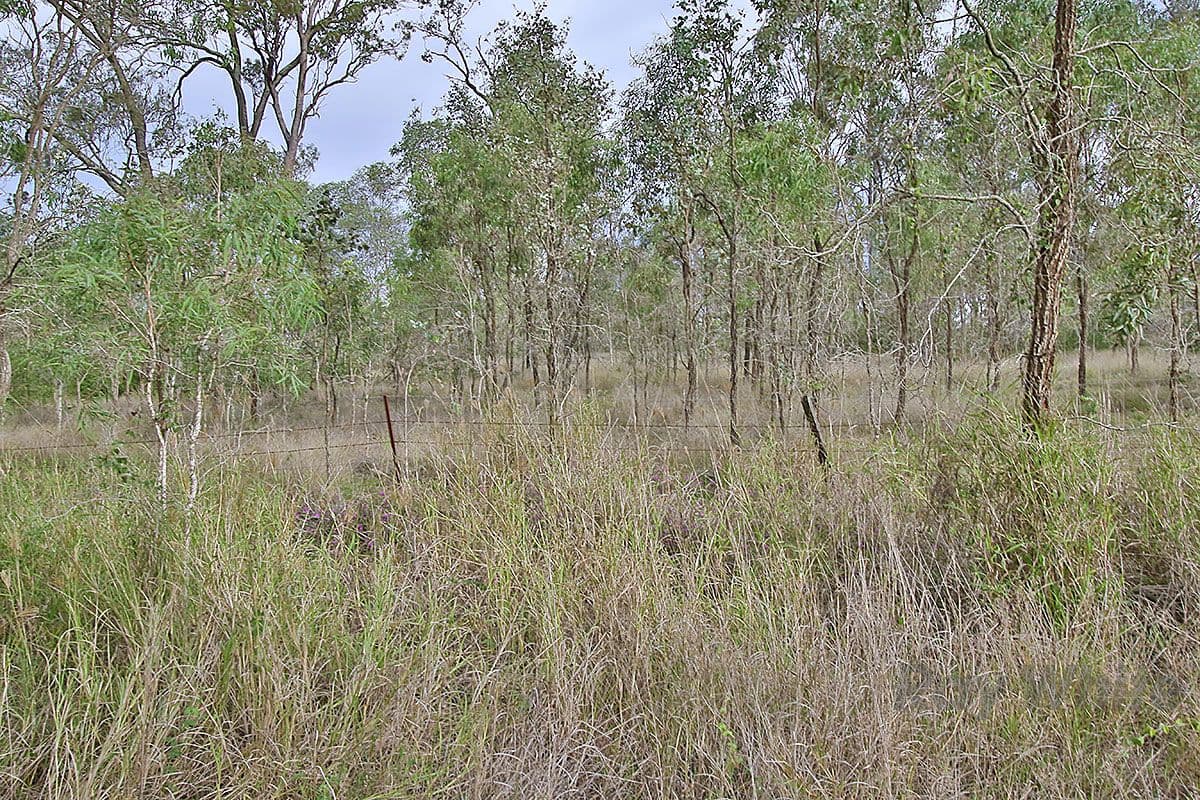 Lot 426 97-141 Dale Road, Karrabin QLD 4306, Karrabin - Thumbnail 3