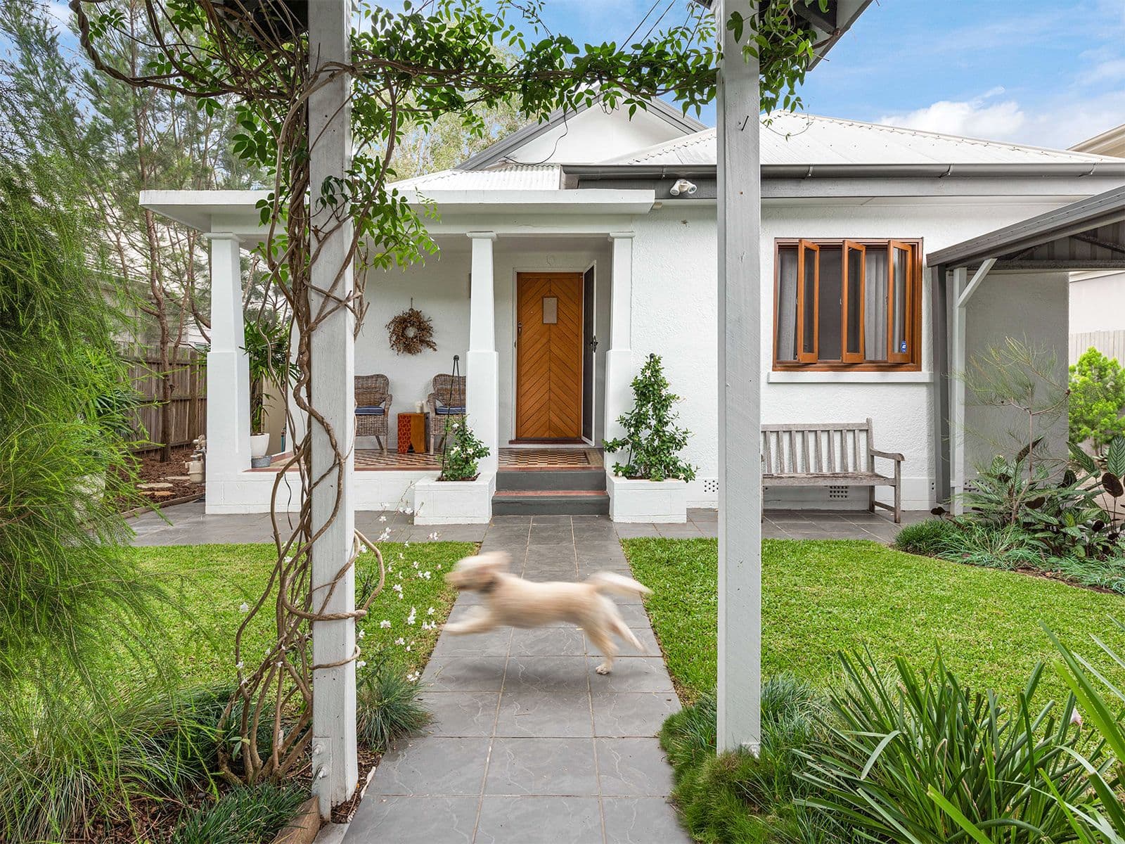 5 School Street, Hendra QLD 4011, Hendra - Thumbnail 5