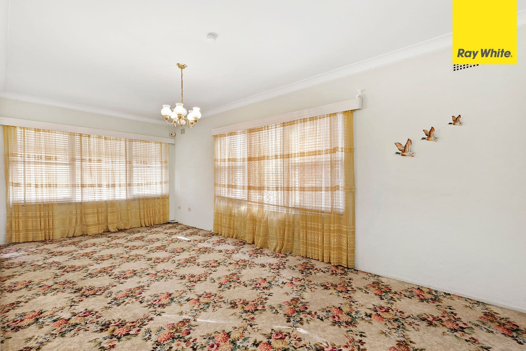 18 Broadway, Punchbowl NSW 2196, Punchbowl - Thumbnail 3