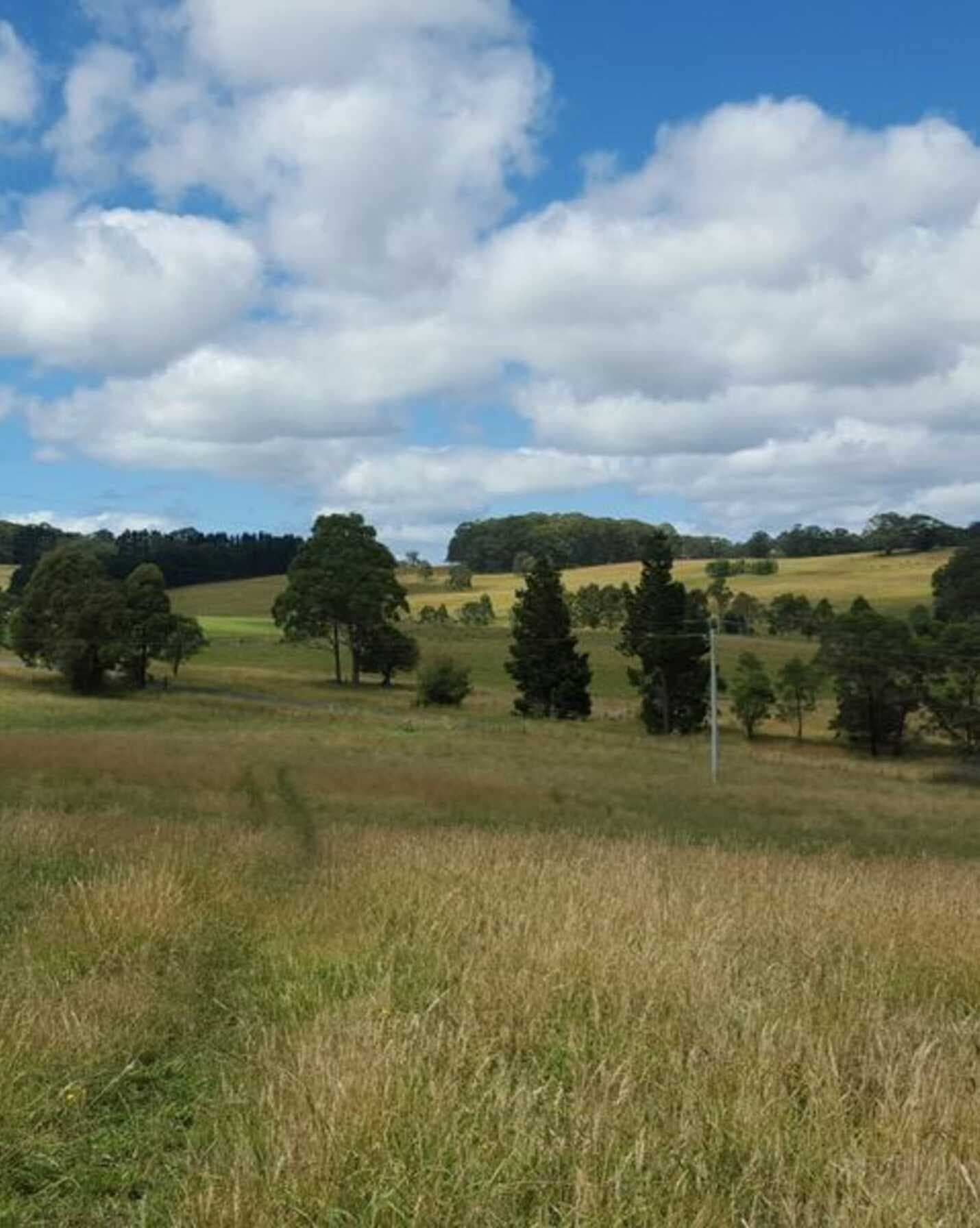 Lot 15 Greenhills Road Werai, Werai - Thumbnail 4