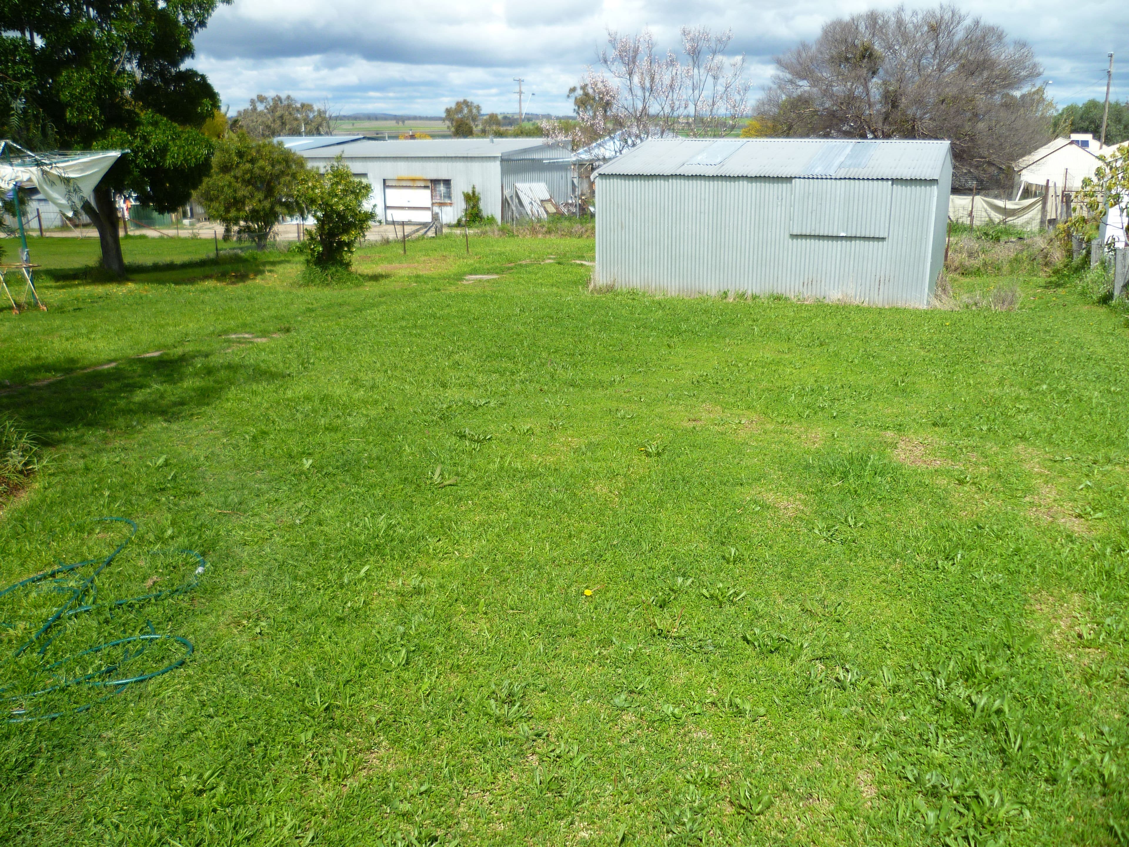 30 Burnett Street, Delungra - Thumbnail 3