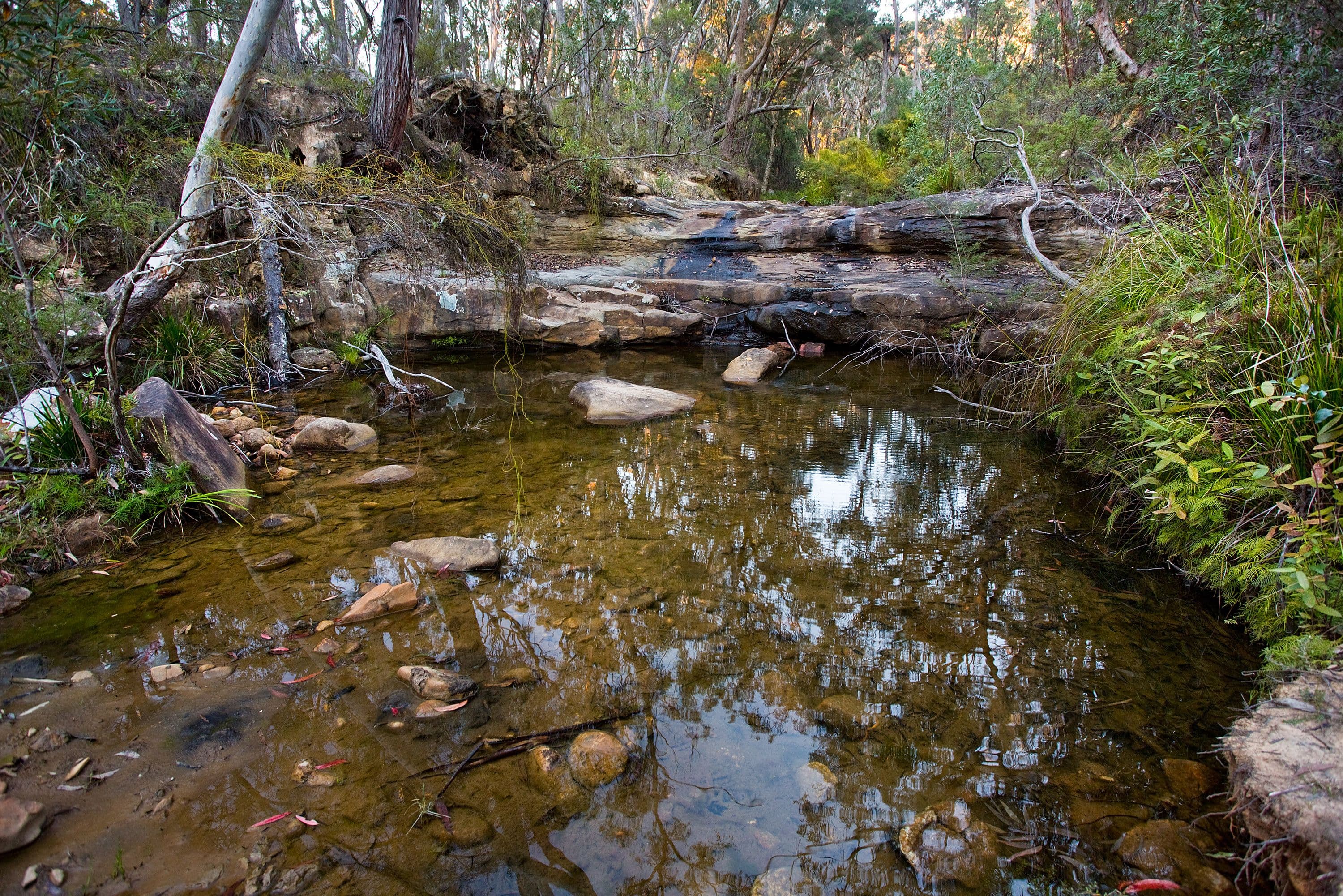 767 Megalong Road, MEGALONG VALLEY NSW 2785, Megalong Valley - Thumbnail 3