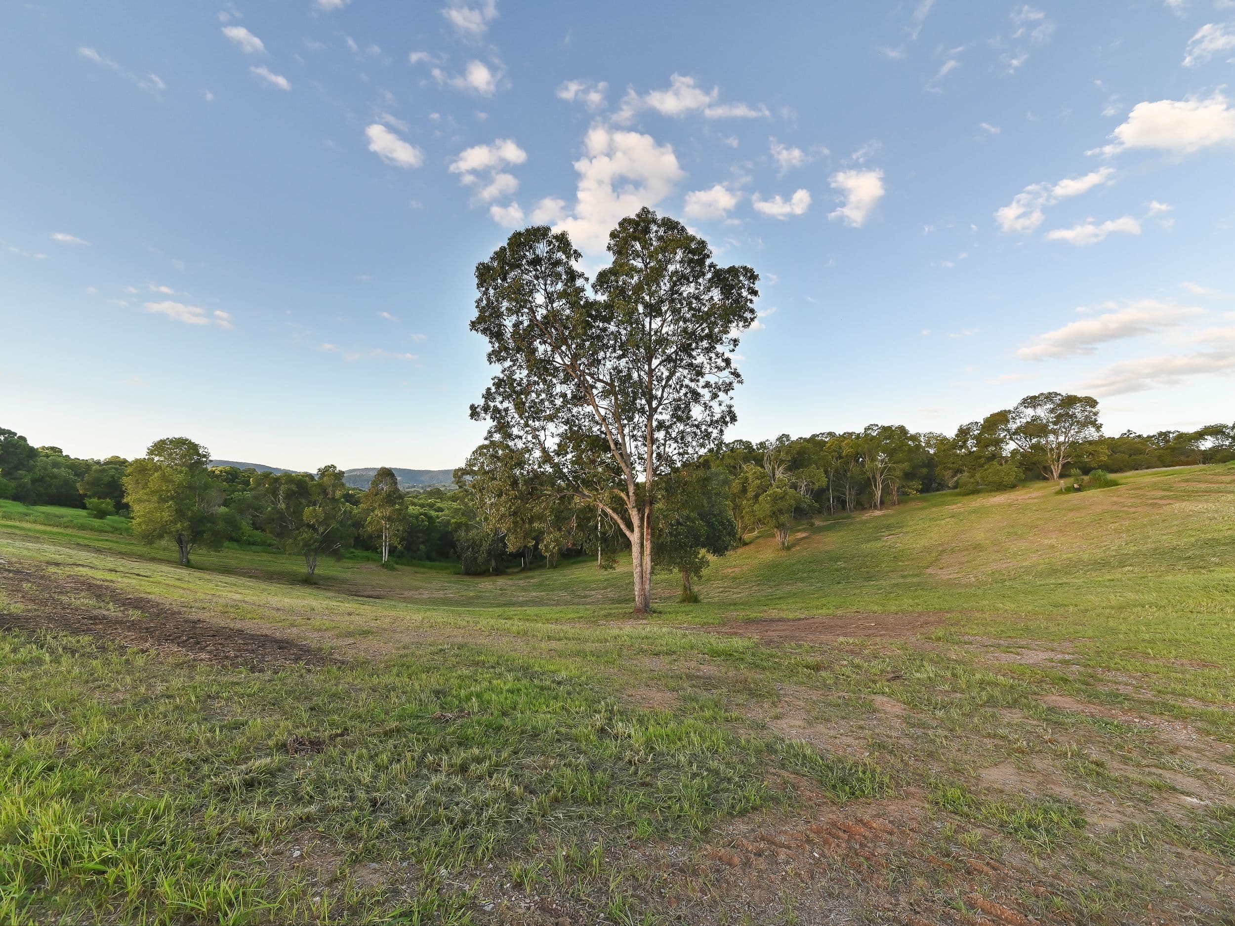 36 Watson Road, Armstrong Creek QLD 4520, Armstrong Creek - Thumbnail 5
