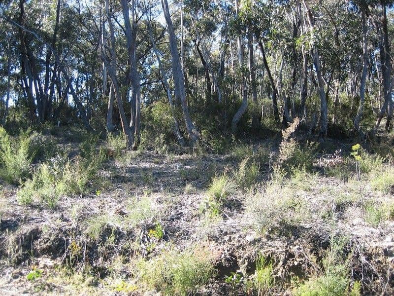 131 Victoria Street, MOUNT VICTORIA NSW 2786, Mount Victoria - Image 1