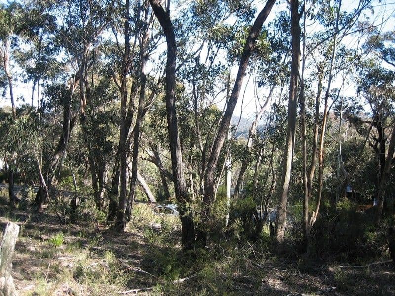 131 Victoria Street, MOUNT VICTORIA NSW 2786, Mount Victoria - Thumbnail 2