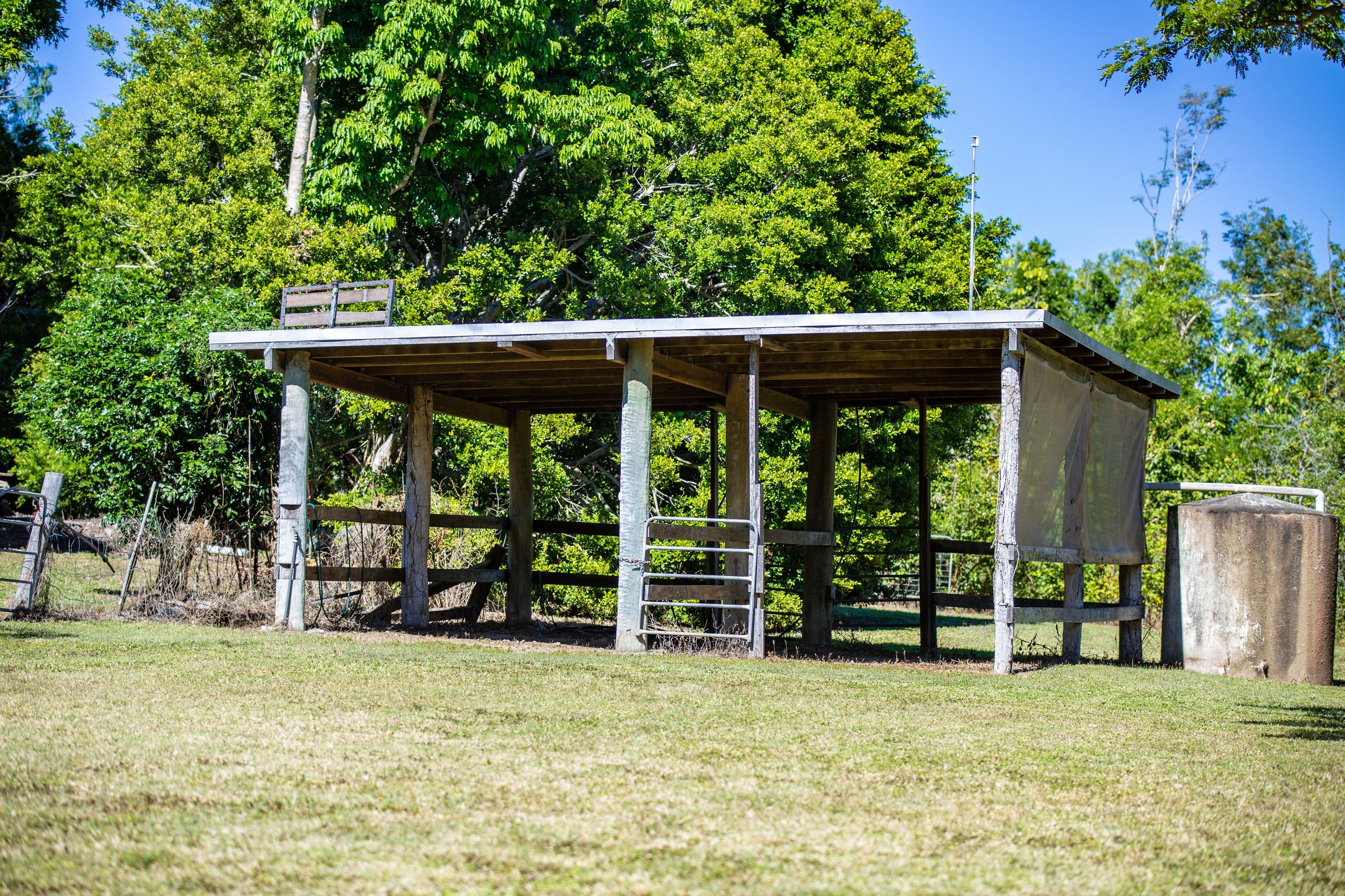 99 Turner Road, Riordanvale QLD 4800, Riordanvale - Thumbnail 8