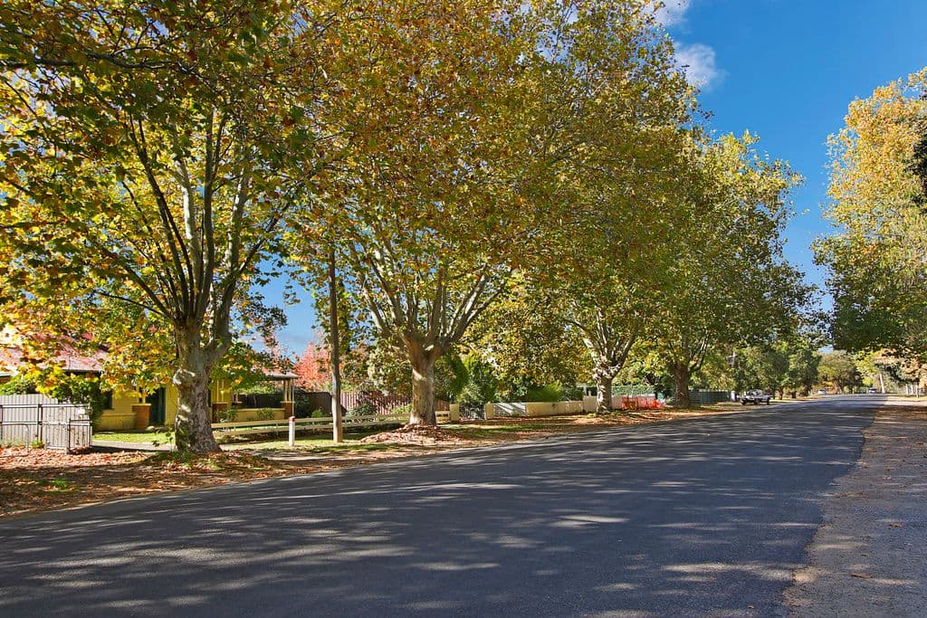 2 3A Mitchell Street, Benalla VIC 3672, Benalla - Image 1