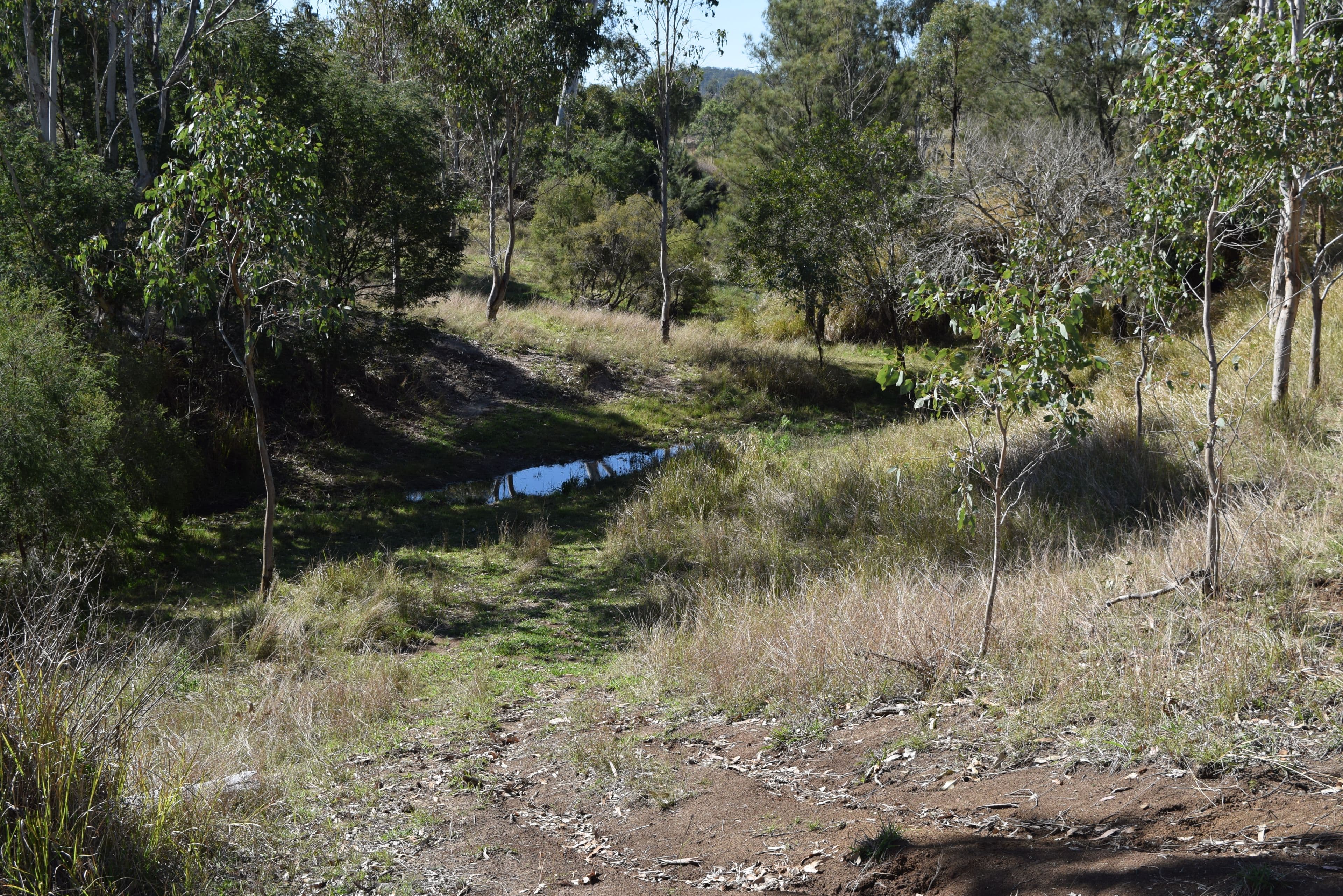 437 Nukku North Road, Blackbutt QLD 4314, Blackbutt - Thumbnail 3