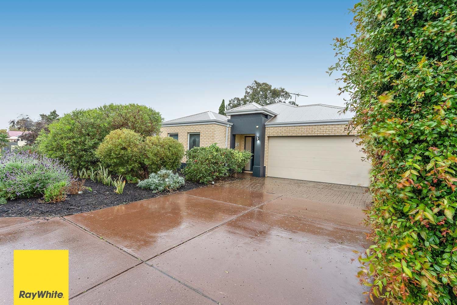5 Tangmere Way, Balga WA 6061, Balga - Thumbnail 2