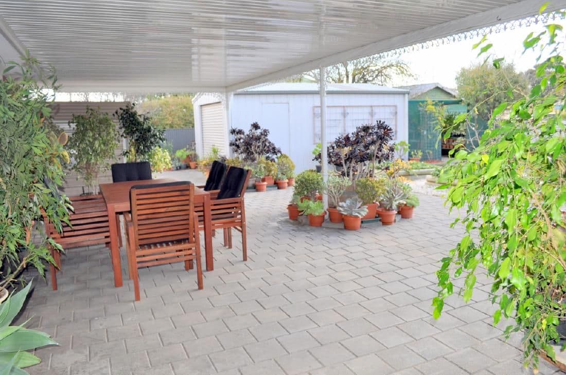 51 Venn  Avenue, BORDERTOWN SA 5268, Bordertown - Thumbnail 4