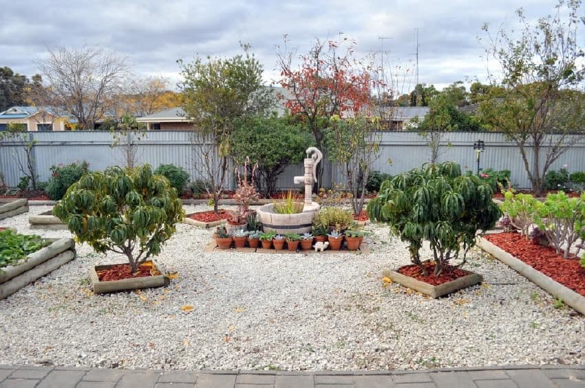 51 Venn  Avenue, BORDERTOWN SA 5268, Bordertown - Thumbnail 6
