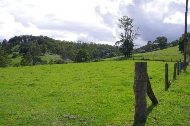355 Caparra Road, Wingham NSW 2429, Wingham - Thumbnail 4