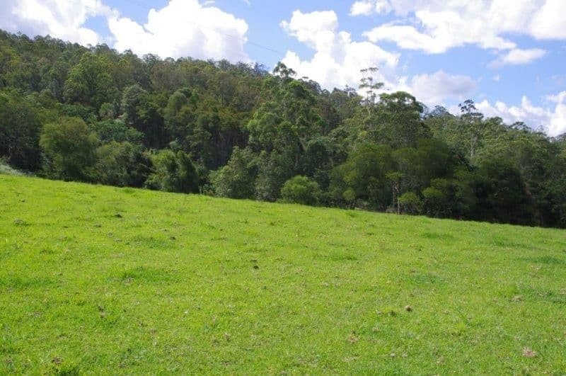 355 Caparra Road, Wingham NSW 2429, Wingham - Thumbnail 5
