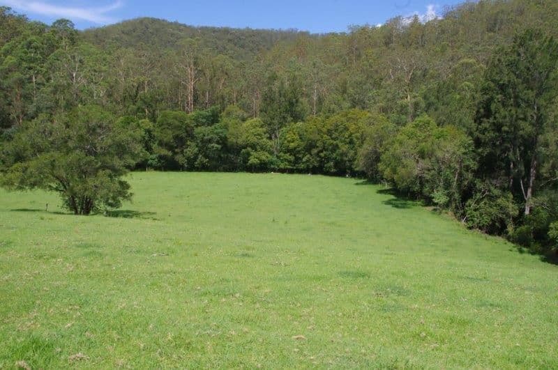 355 Caparra Road, Wingham NSW 2429, Wingham - Thumbnail 6
