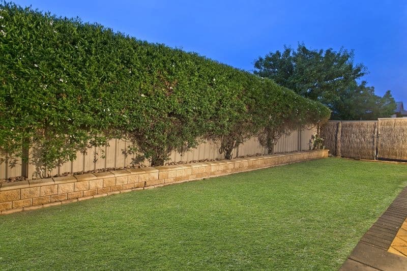 2 Westwood Court, OAKDEN SA 5086, Oakden - Thumbnail 7