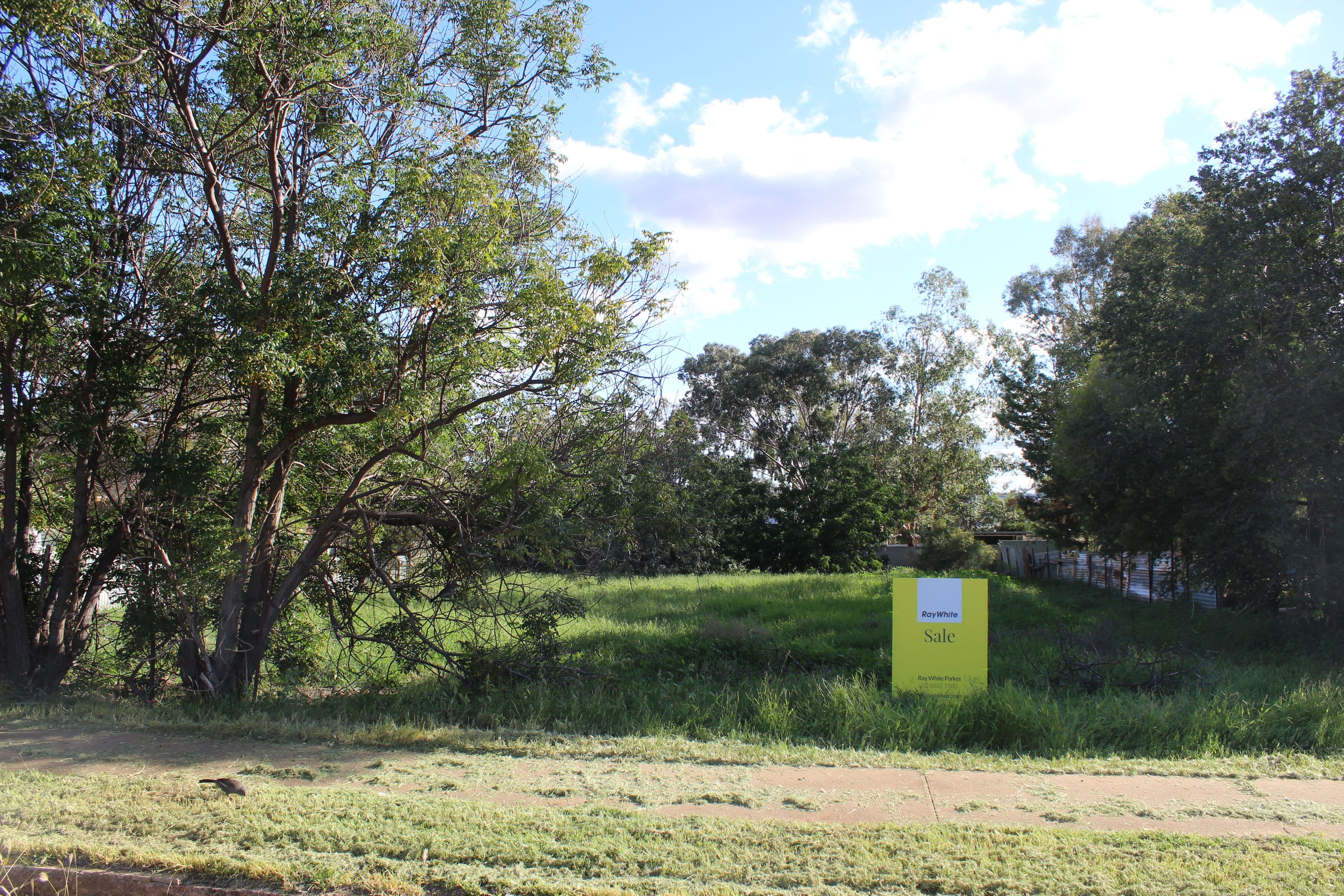 158 Caswell Street, Peak Hill NSW 2869, Peak Hill - Image 1