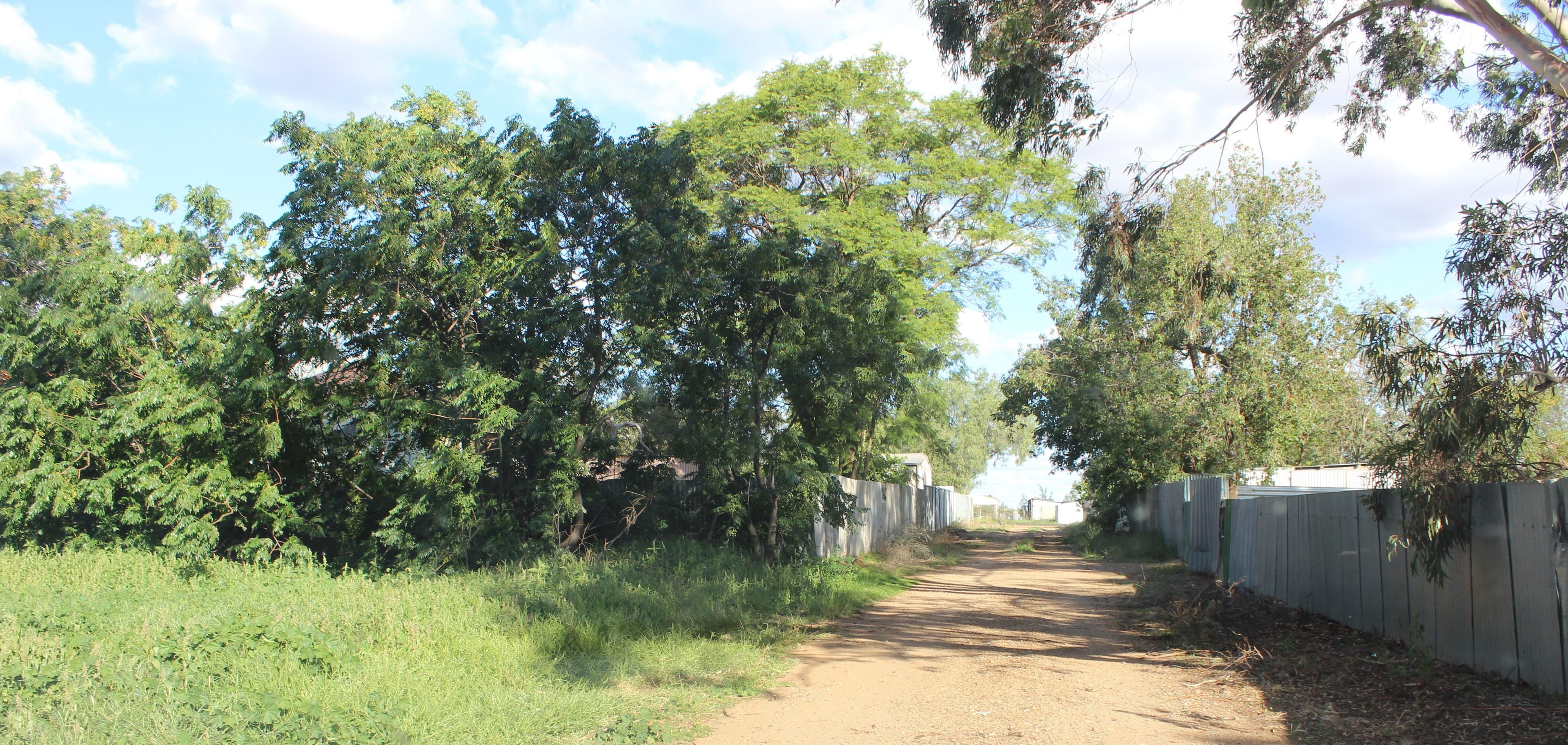 158 Caswell Street, Peak Hill NSW 2869, Peak Hill - Thumbnail 2