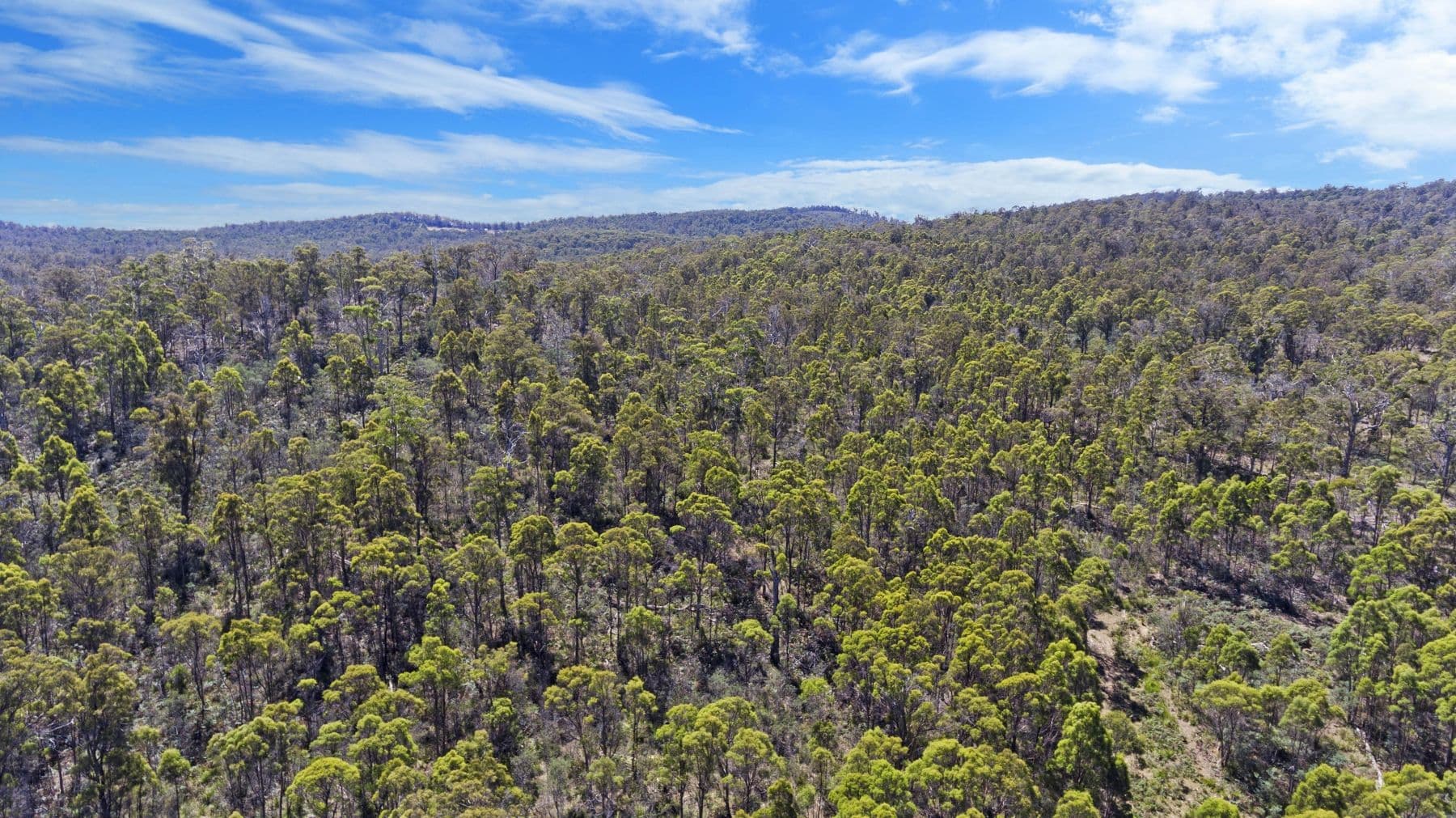 274 Lilydale Road, Rocherlea TAS 7248, Rocherlea - Thumbnail 4