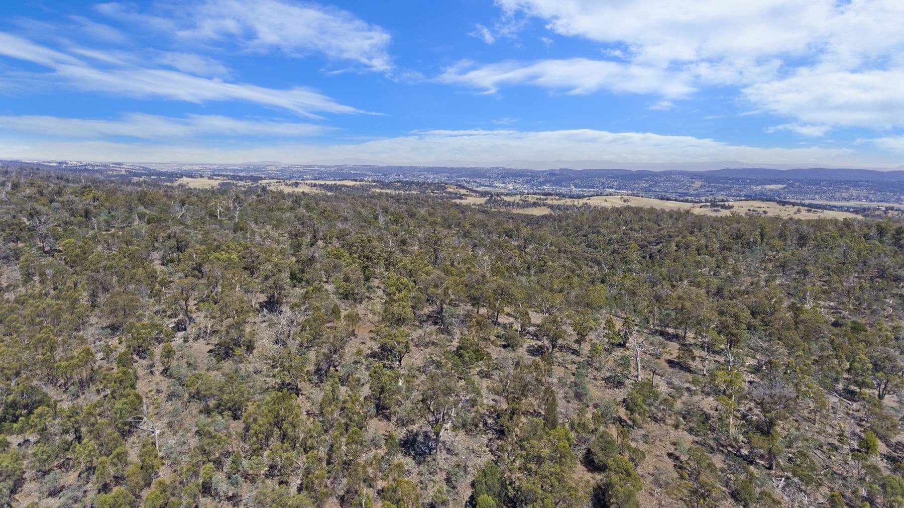 274 Lilydale Road, Rocherlea TAS 7248, Rocherlea - Thumbnail 5