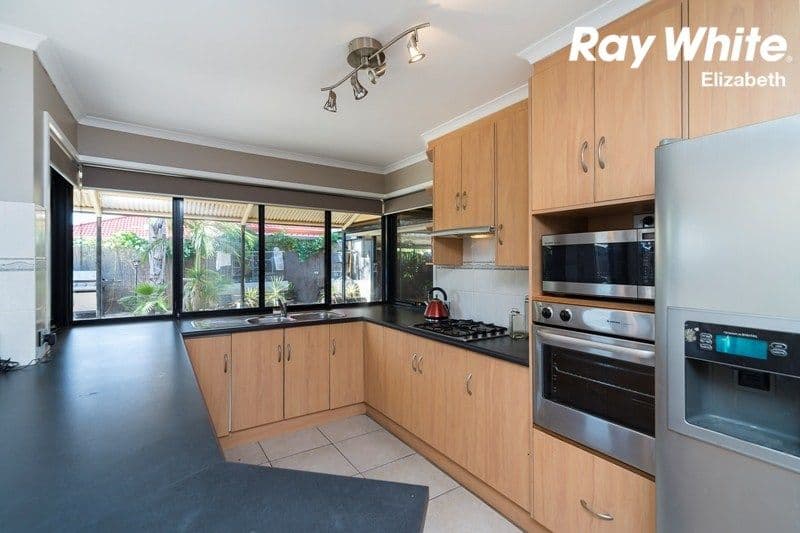 12 Everard Avenue, Andrews Farm SA 5114, Andrews Farm - Thumbnail 5