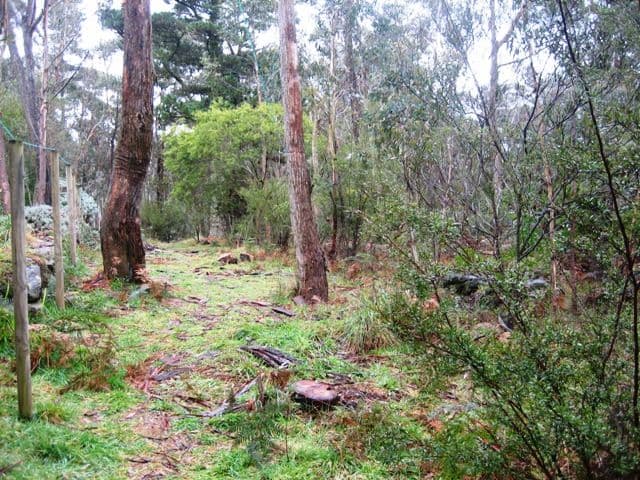 10 Fairlop Road, Medlow Bath NSW 2780, Medlow Bath - Thumbnail 2