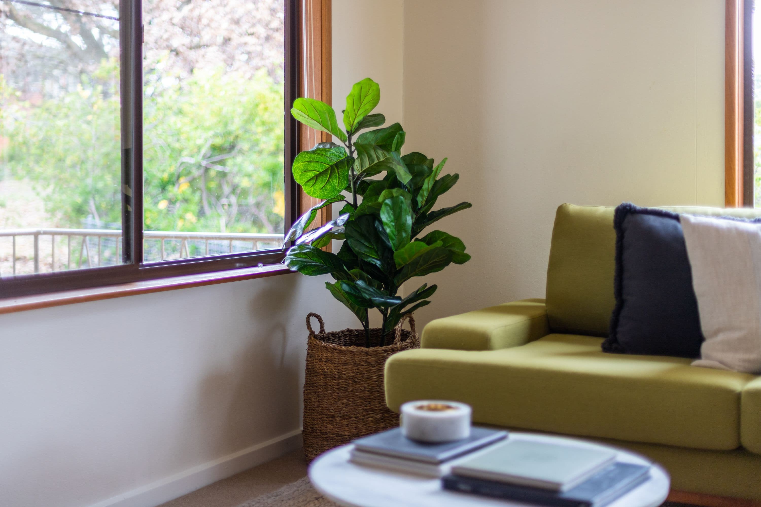 16 Mackennal Street, Lyneham ACT 2602, Lyneham - Thumbnail 4