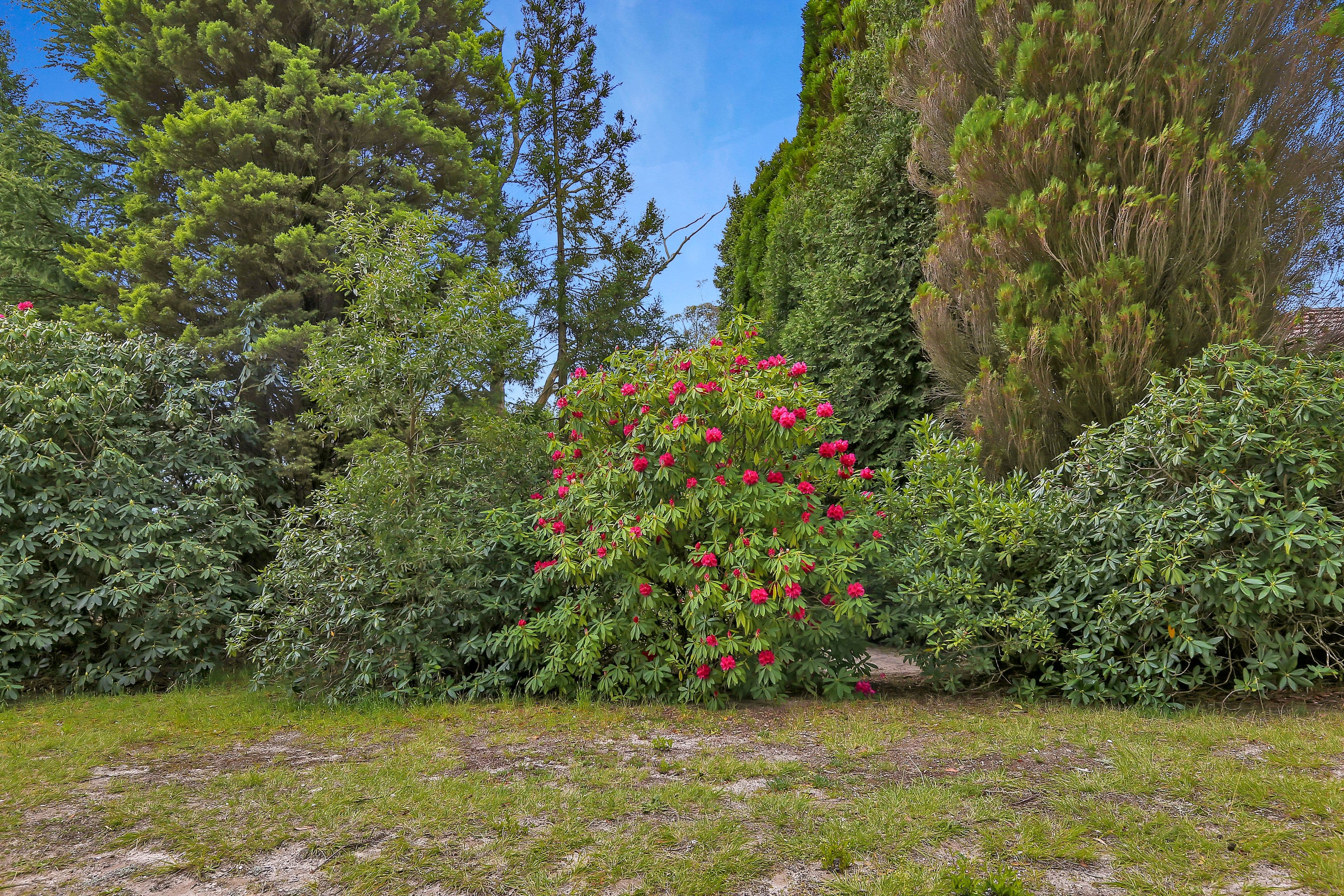 24 Sylvania Street, Mount Victoria NSW 2786, Mount Victoria - Image 1
