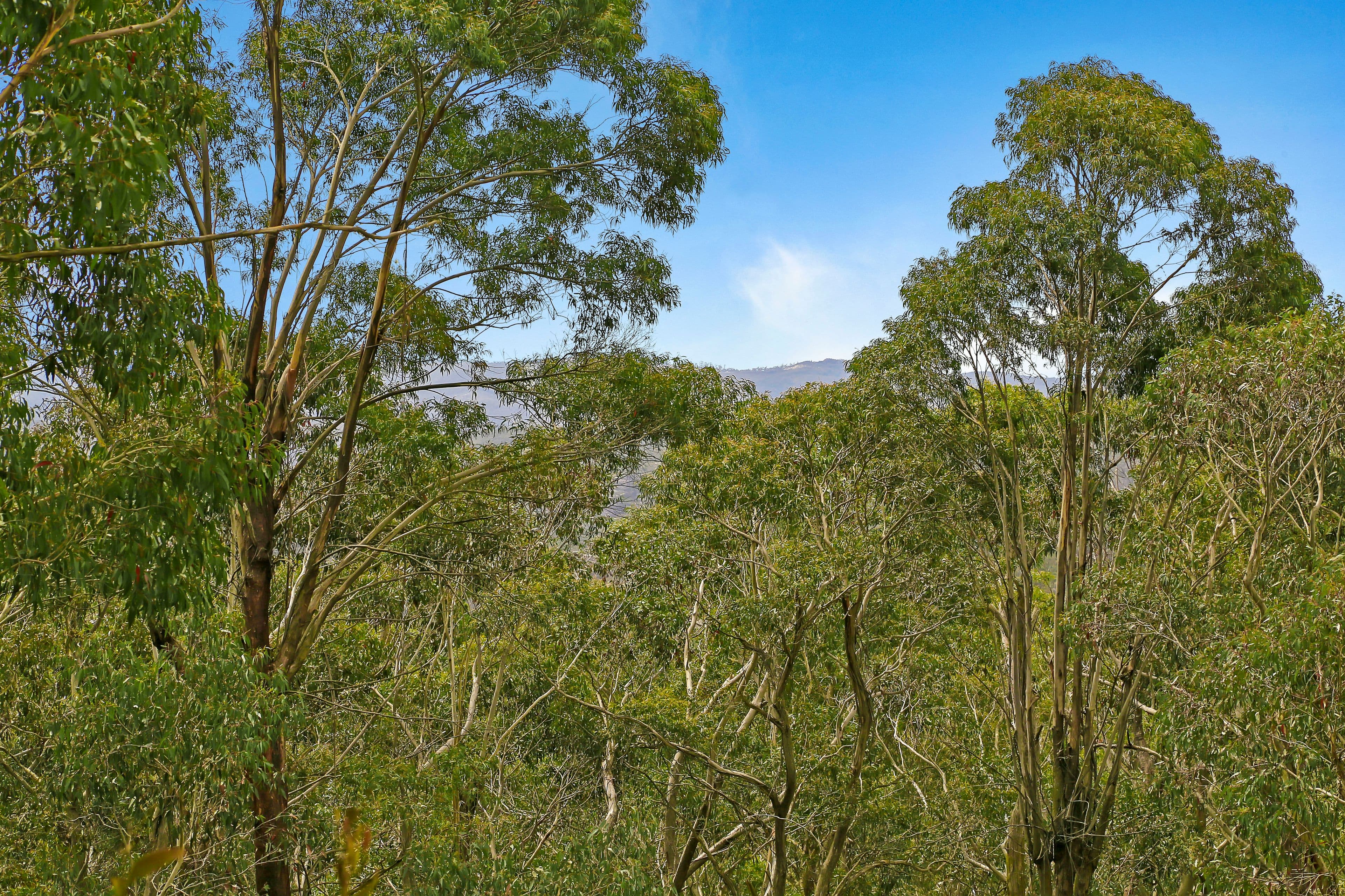 24 Sylvania Street, Mount Victoria NSW 2786, Mount Victoria - Thumbnail 3