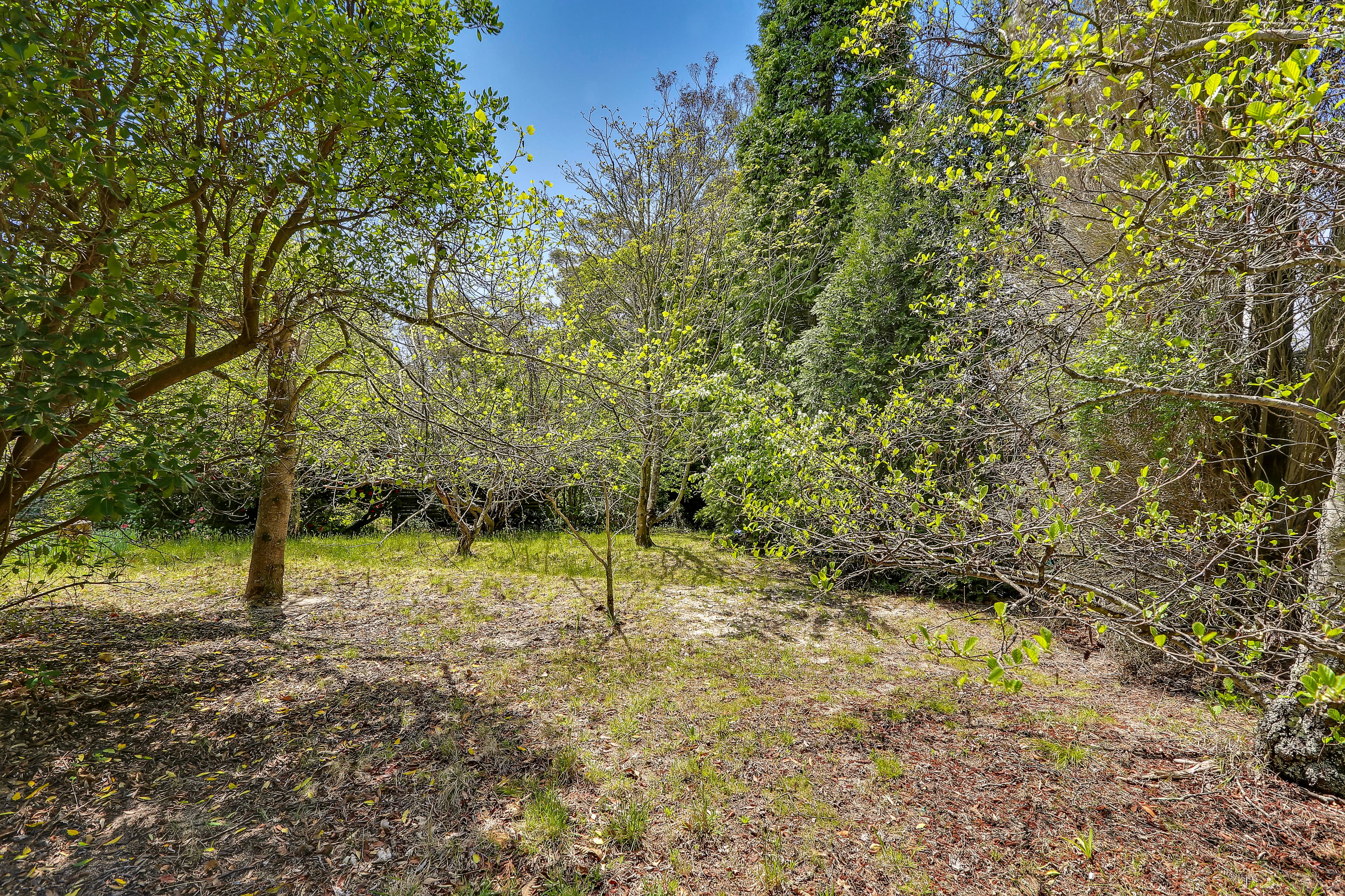 24 Sylvania Street, Mount Victoria NSW 2786, Mount Victoria - Thumbnail 5