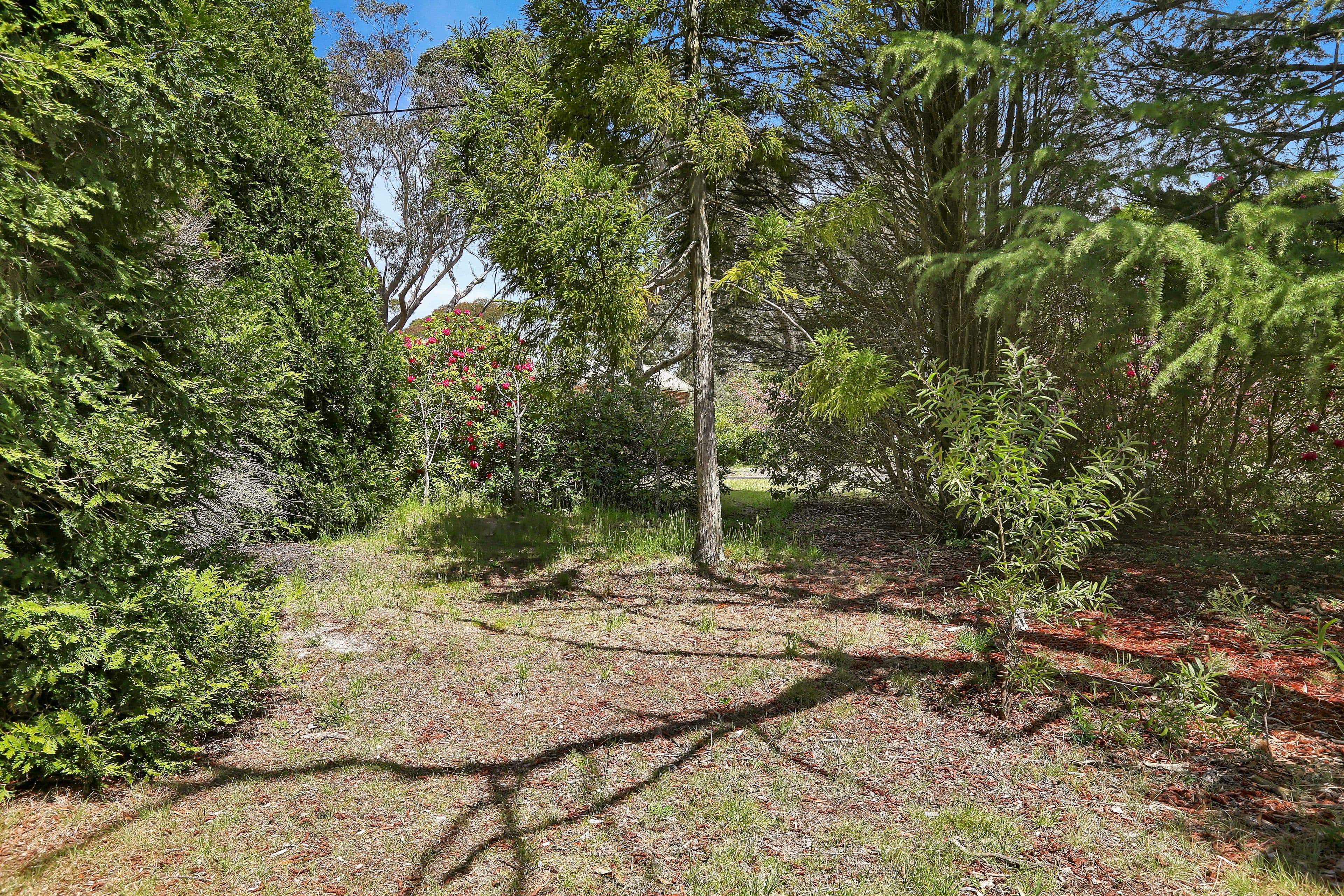 24 Sylvania Street, Mount Victoria NSW 2786, Mount Victoria - Thumbnail 7