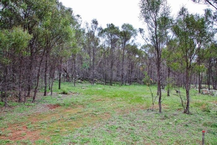 147B Simpson Drive, Grenfell NSW 2810, Grenfell - Thumbnail 4