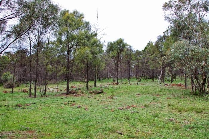 147B Simpson Drive, Grenfell NSW 2810, Grenfell - Thumbnail 5