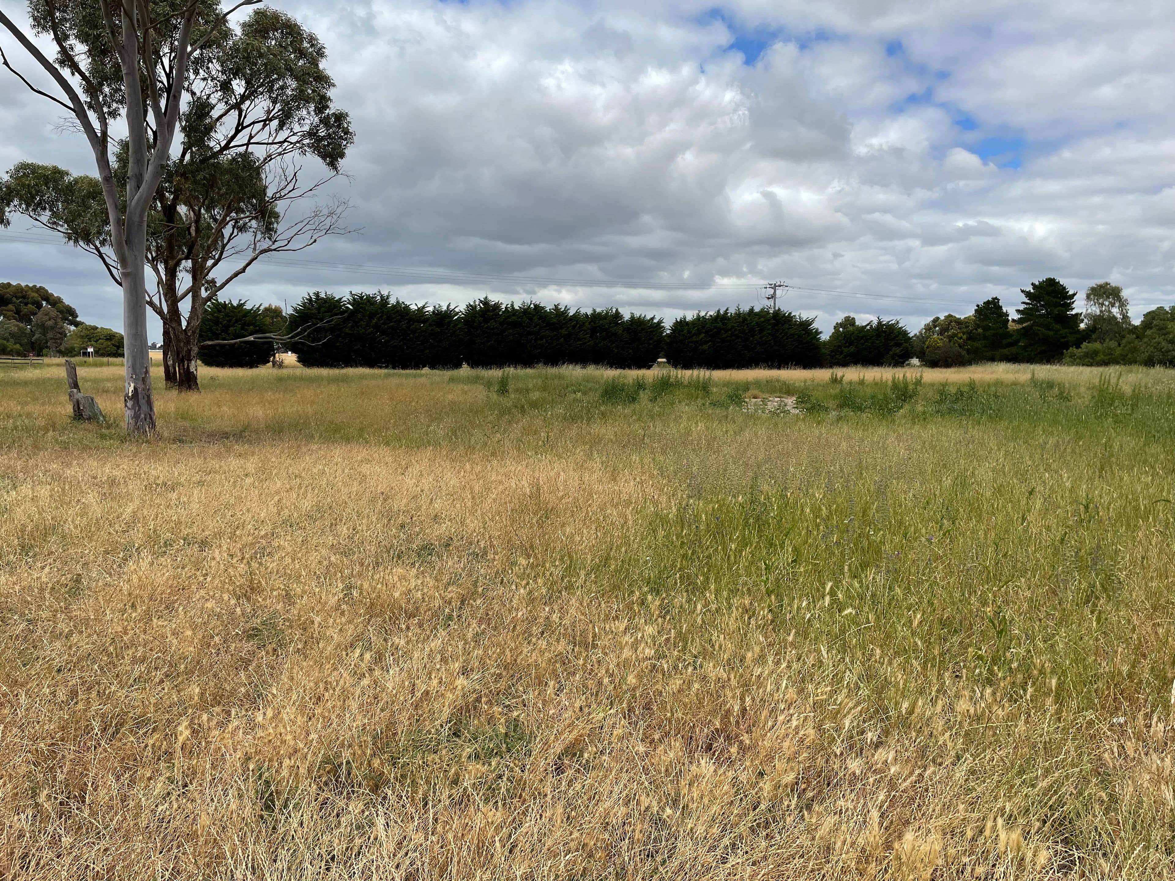 175 Patullos Road, Lara VIC 3212, Lara - Thumbnail 8