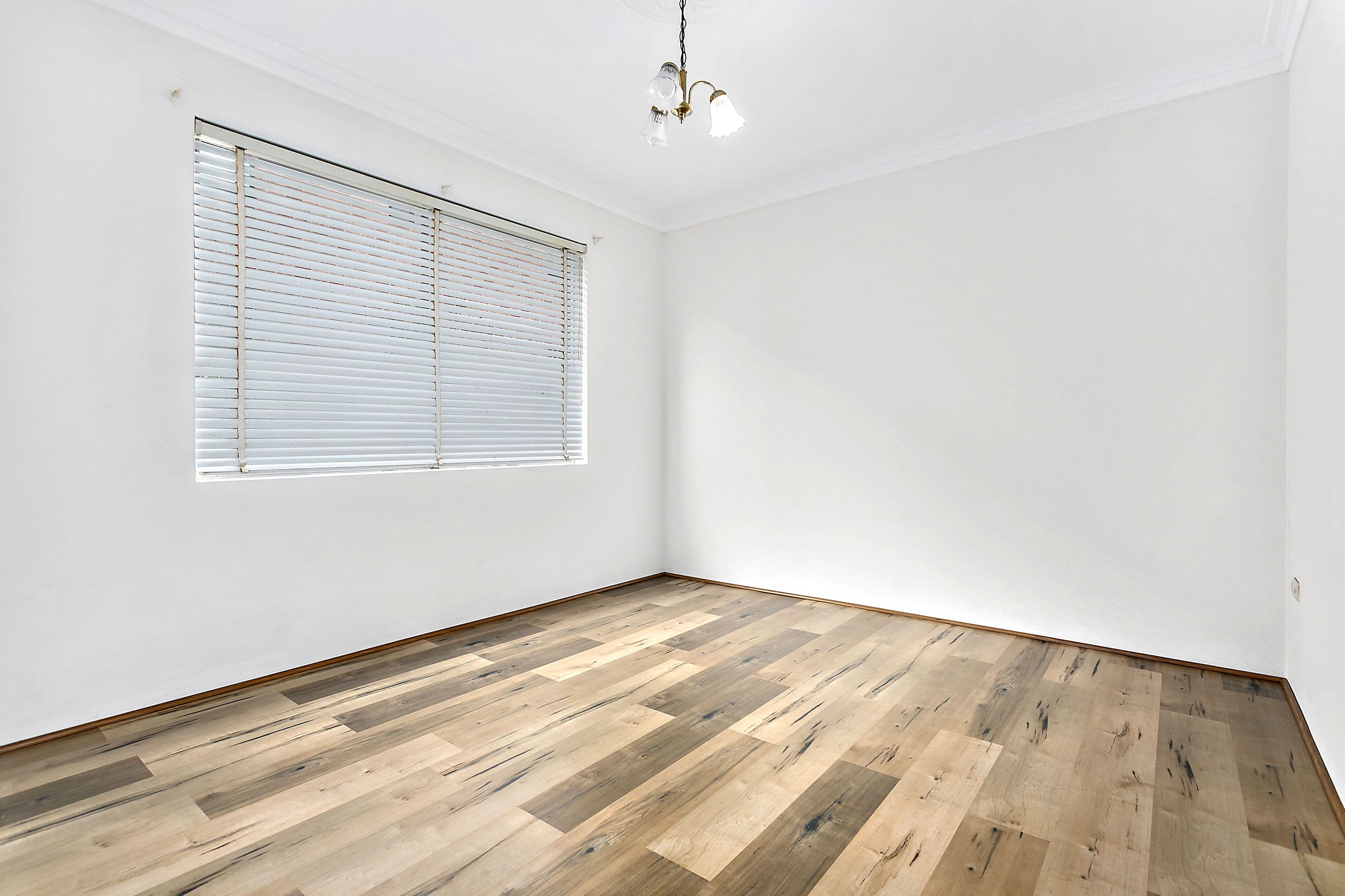 41 Ocean Street, Penshurst NSW 2222, Penshurst - Thumbnail 7