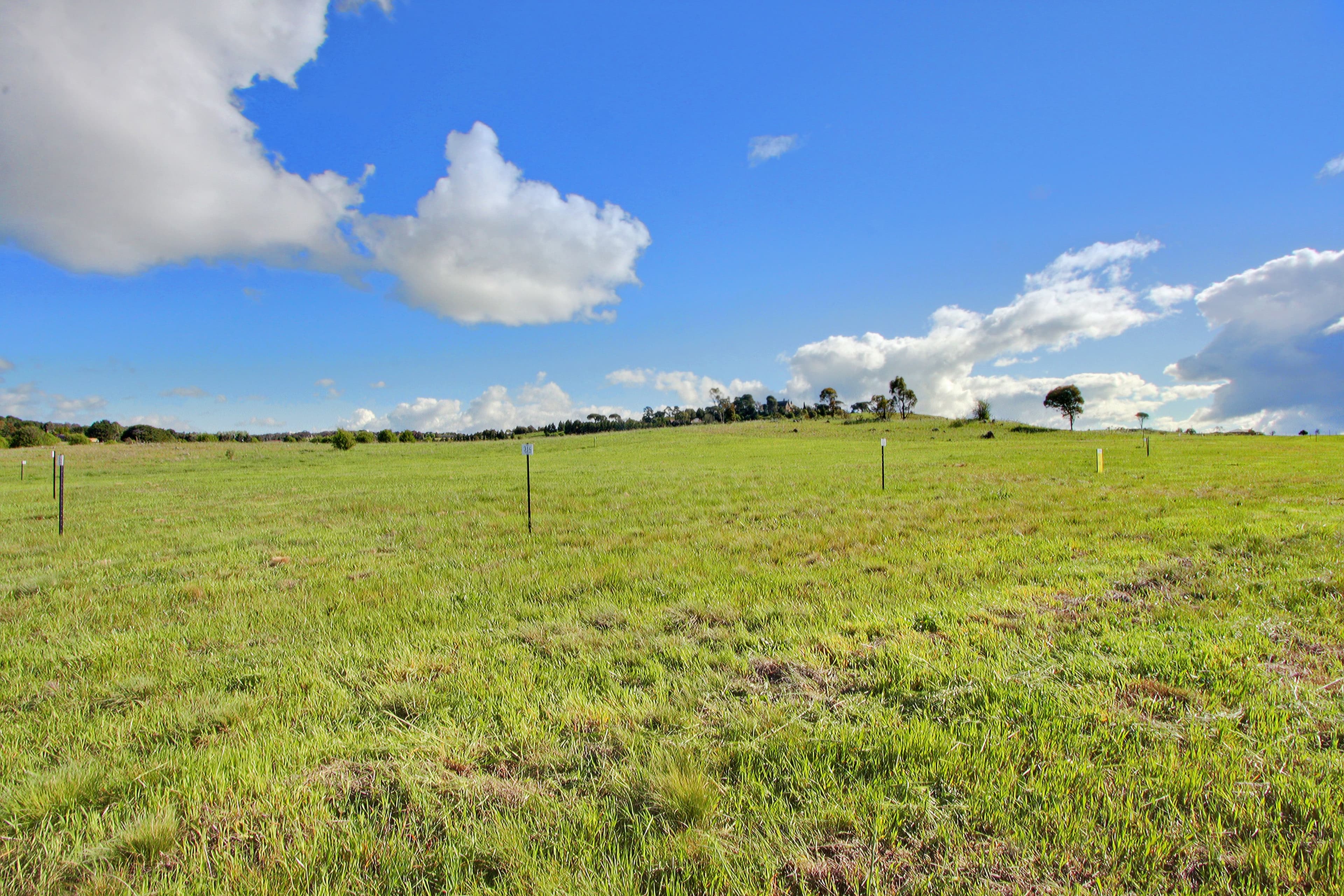 Lot 411 Ibis Road, GOULBURN NSW 2580, Goulburn - Image 1